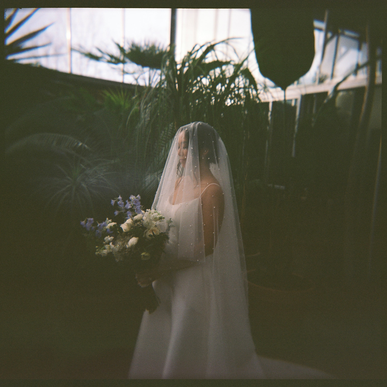 kodak portra 400 medium format film photo of the bride in the greenhouse with her veil over her head