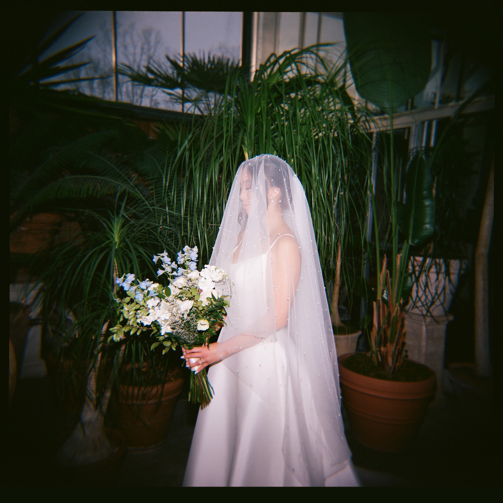 kodak portra 400 medium format film photo of the bride in the greenhouse with her veil over her head