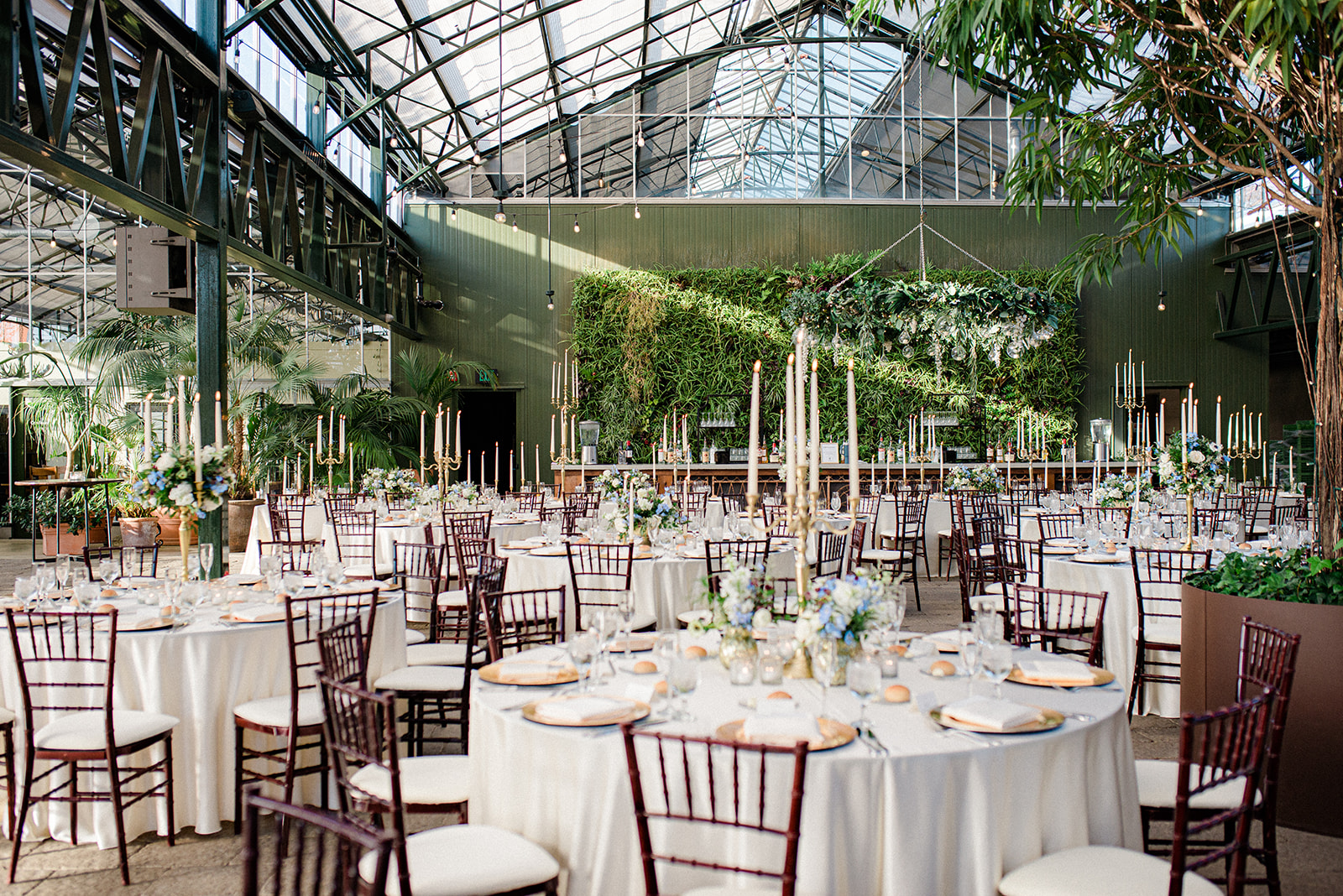 the wedding reception in the greenhouse at Planterra Conservatory in West Bloomfield, Michigan. Plants and Skylights.