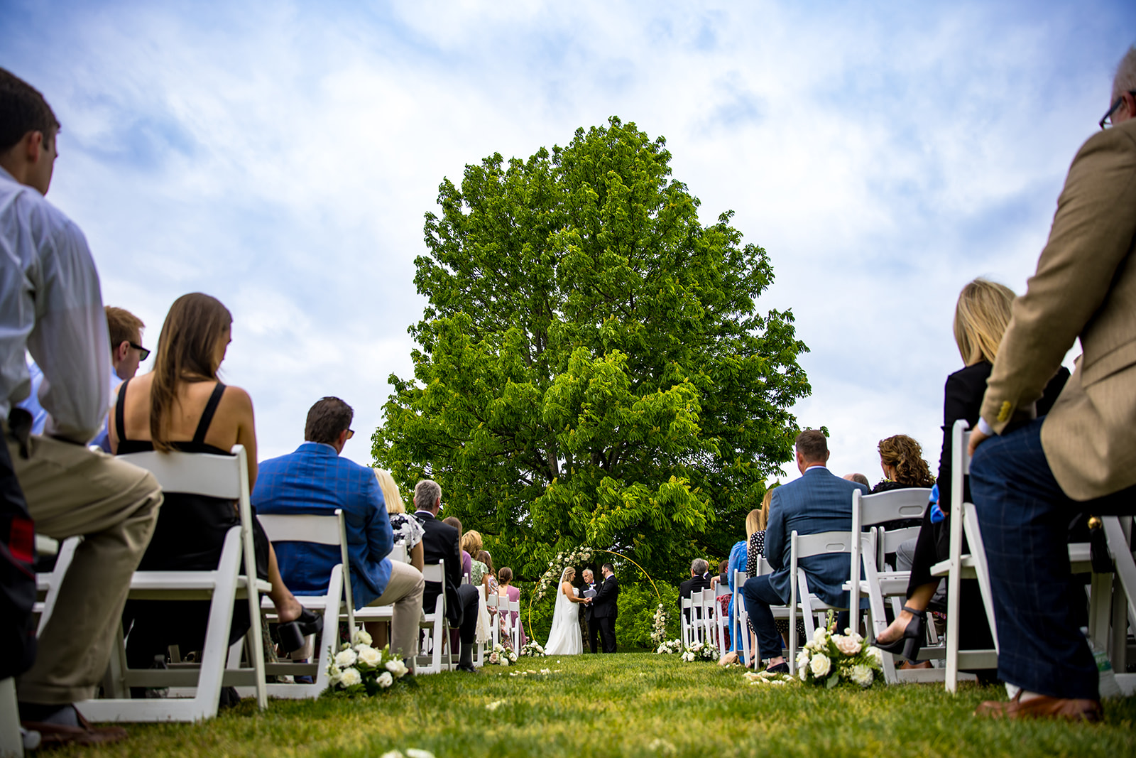 Couple renews their vows under a large tree on the golf course of Camargo Club in Cincinnati, OH
