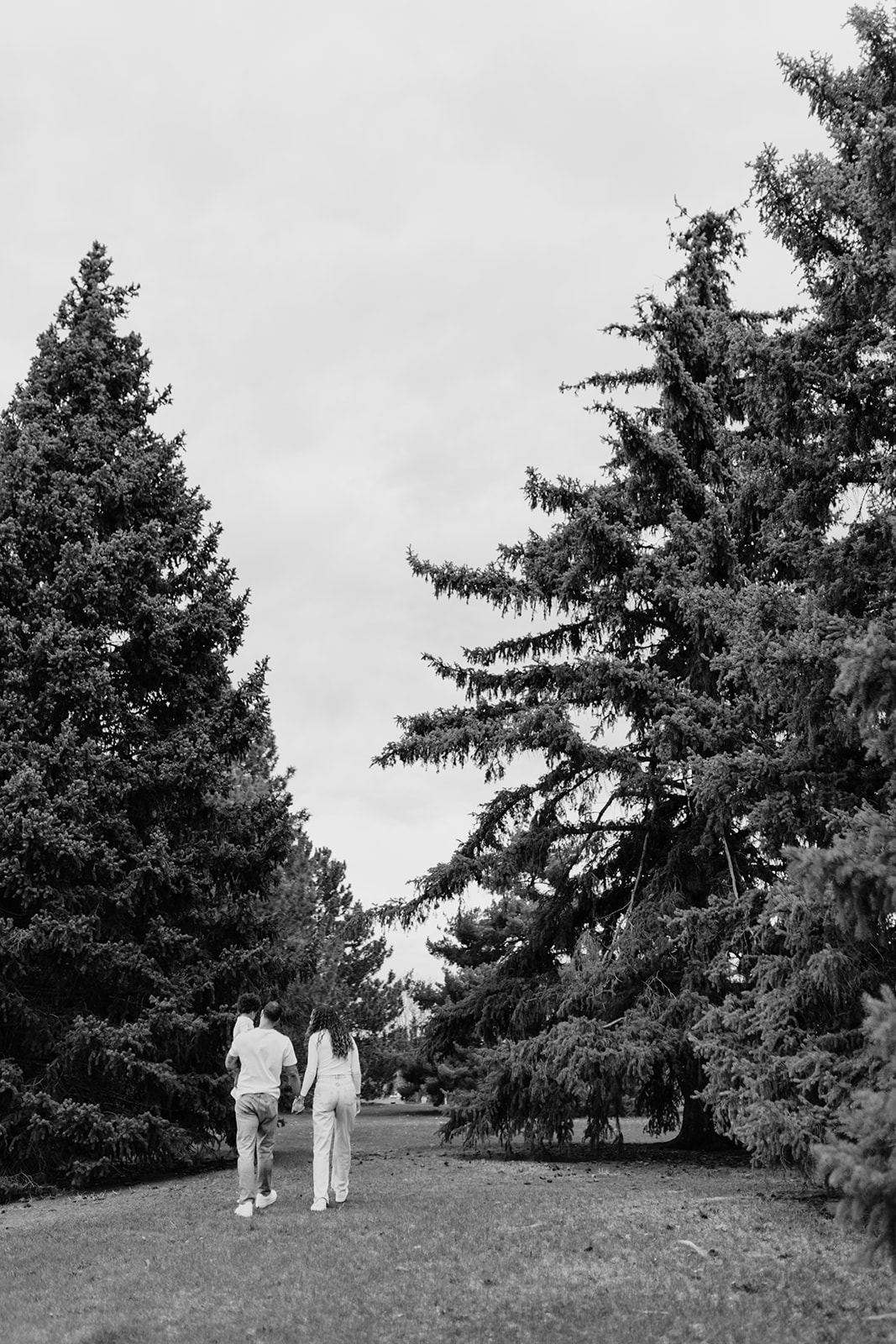 denver colorado rural family photos with tall pine trees