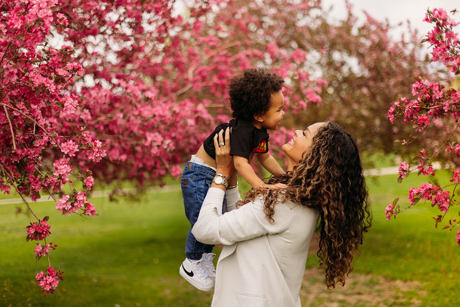 pink cherry blossom trees in denver colorado for family photos in city park with green grass