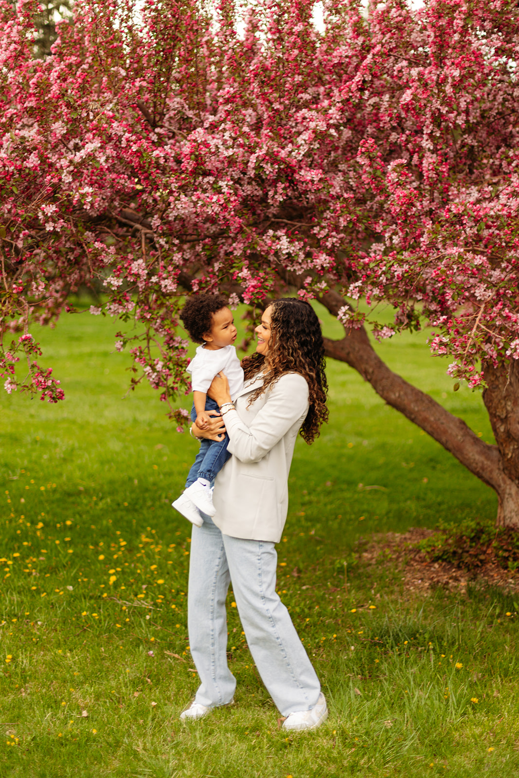 pink cherry blossom trees in denver colorado for family photos in city park with green grass