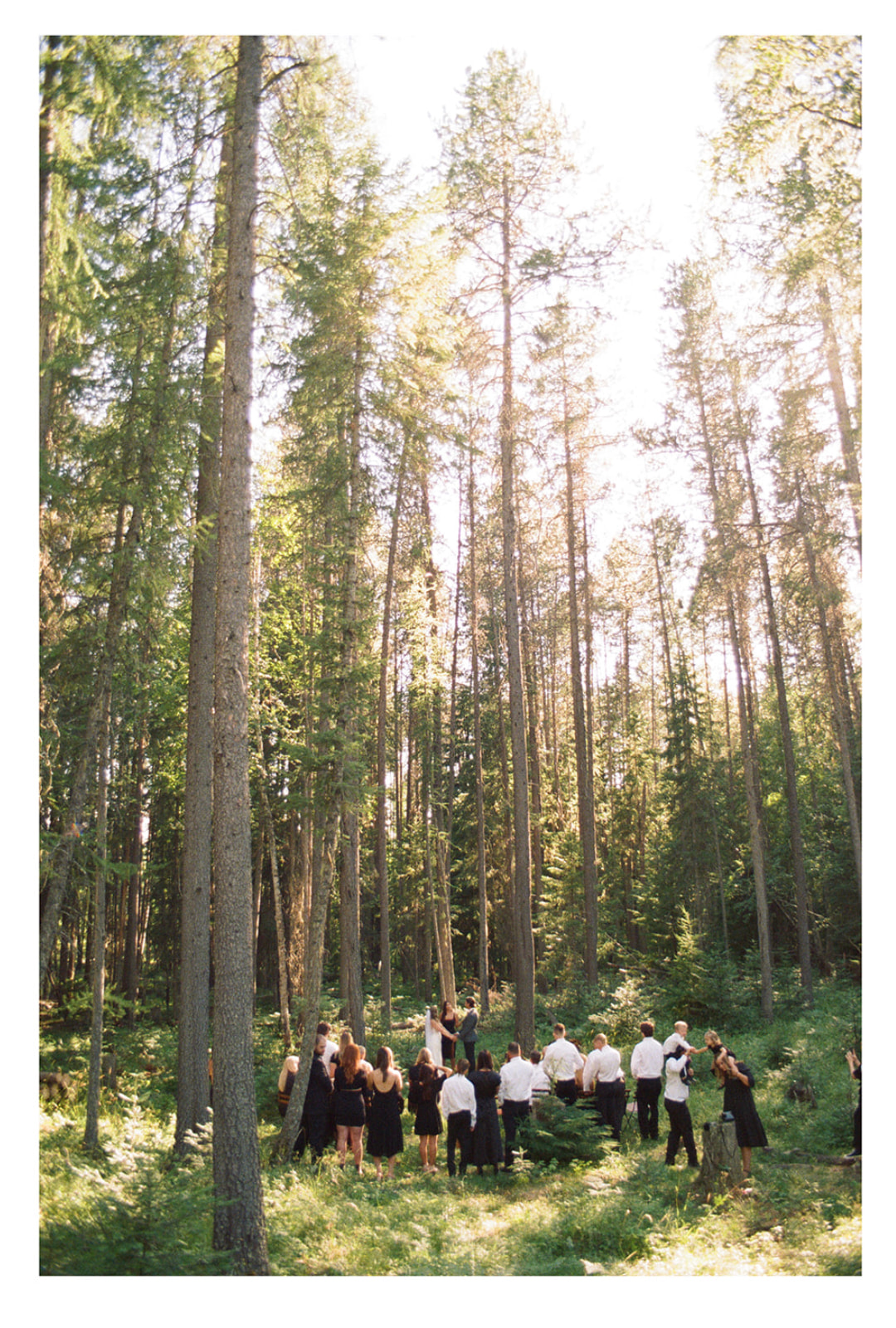 A Montana elopement in the forest - A backyard wedding