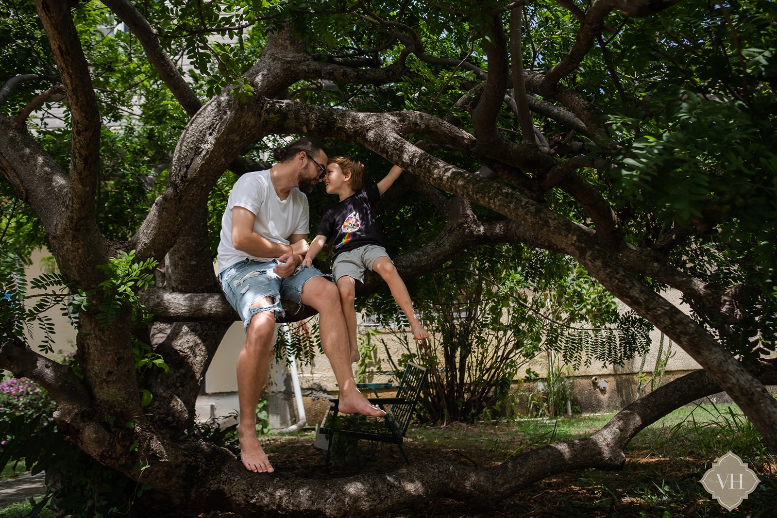 father and son sitting in a tree in the backyard of an island home in antigua