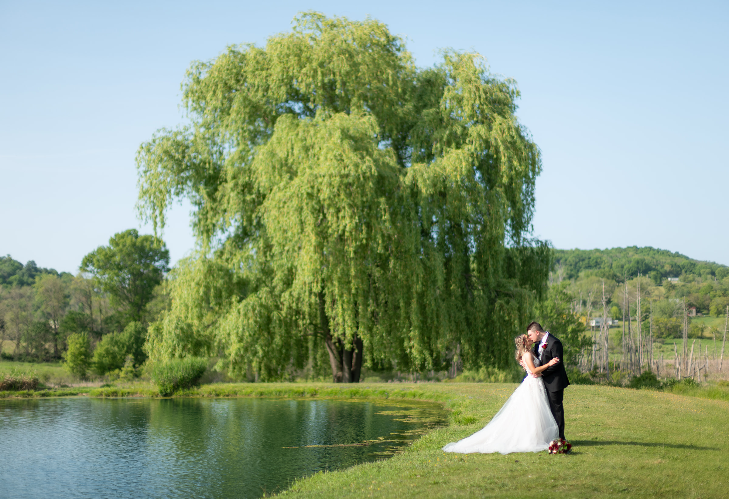 Couple kisses in front of weeping willow tree by glistening pond
