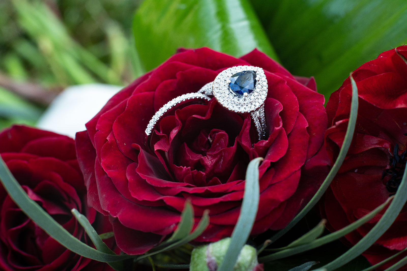engagement and wedding rings set in roses