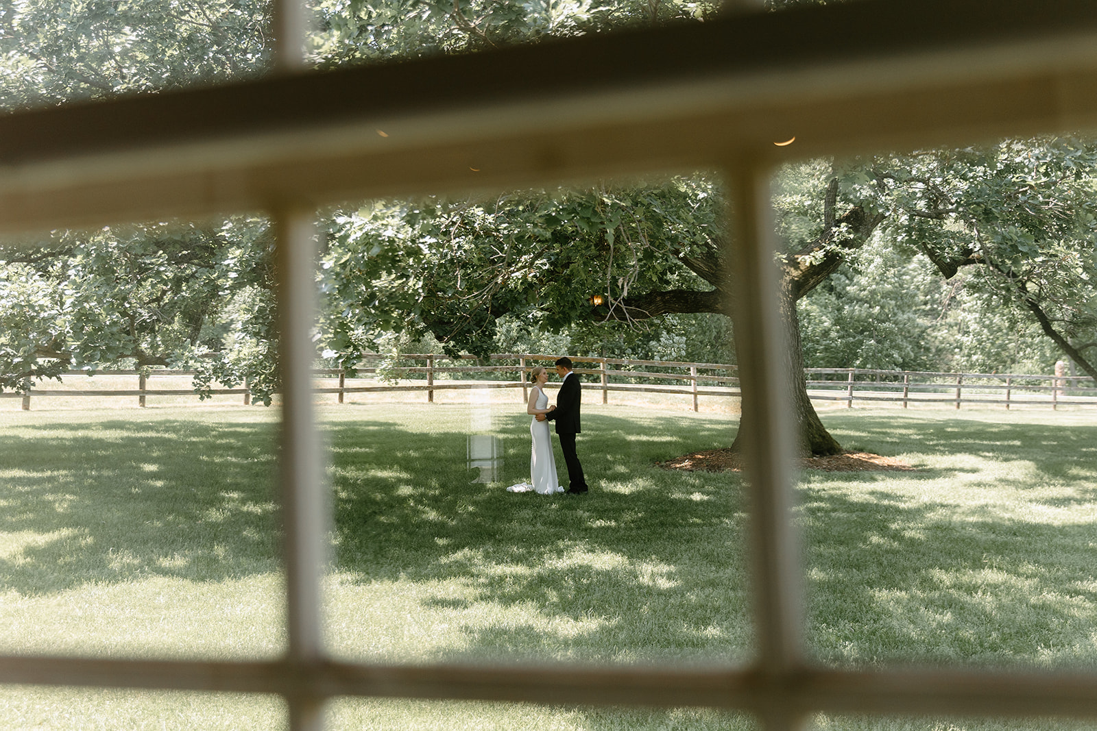 Bride and groom under a tree through a window