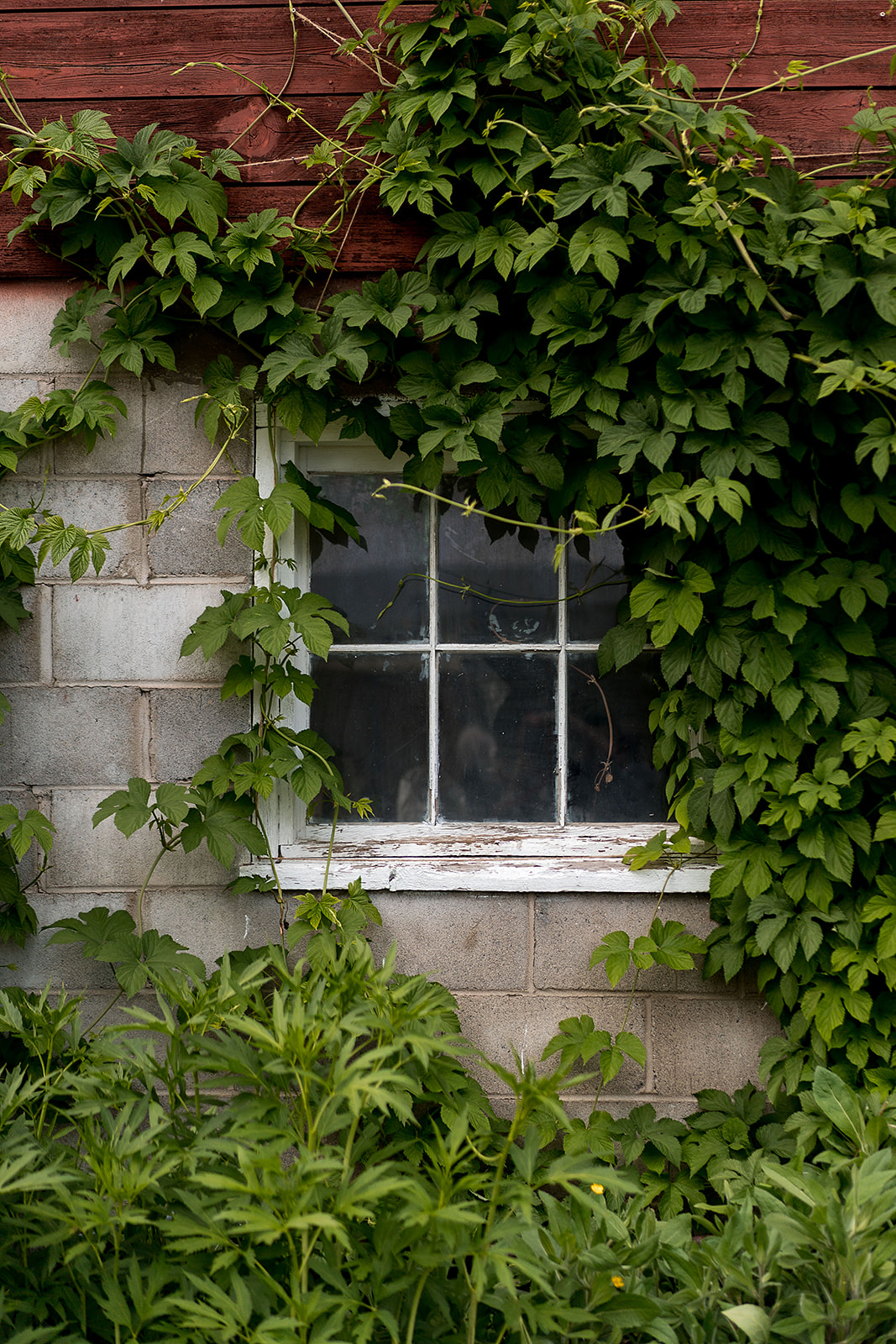 Mazama Ranch House wedding barn window details