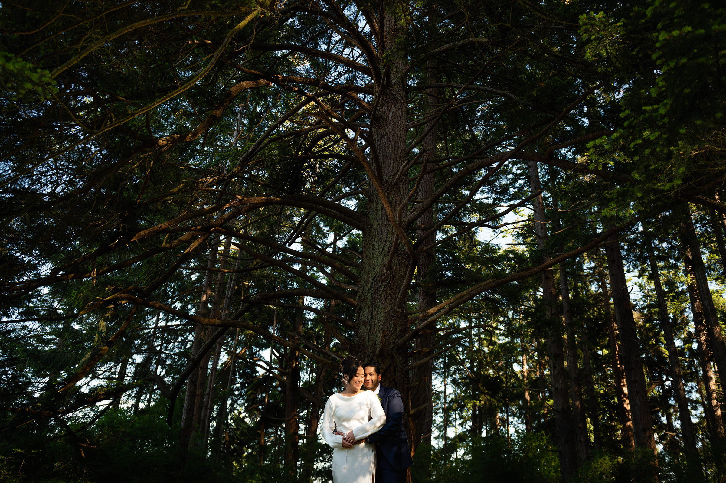 married under forest trees on Vancouver Island
