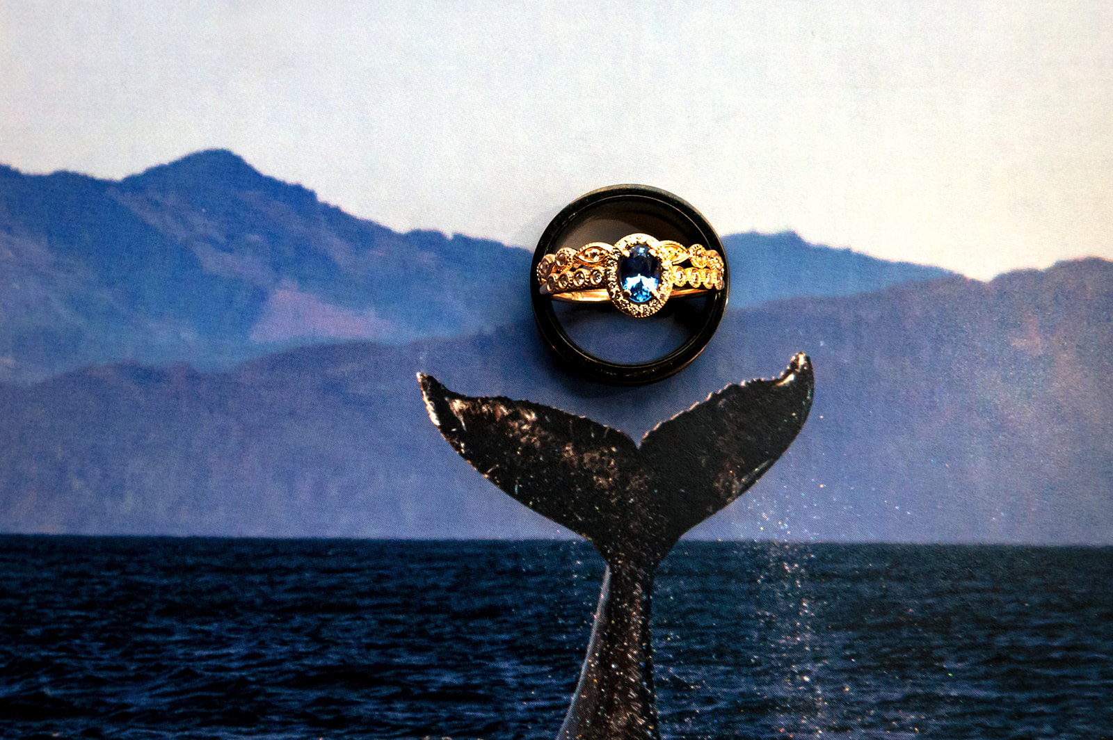 Cool image of wedding rings on Vancouver island
