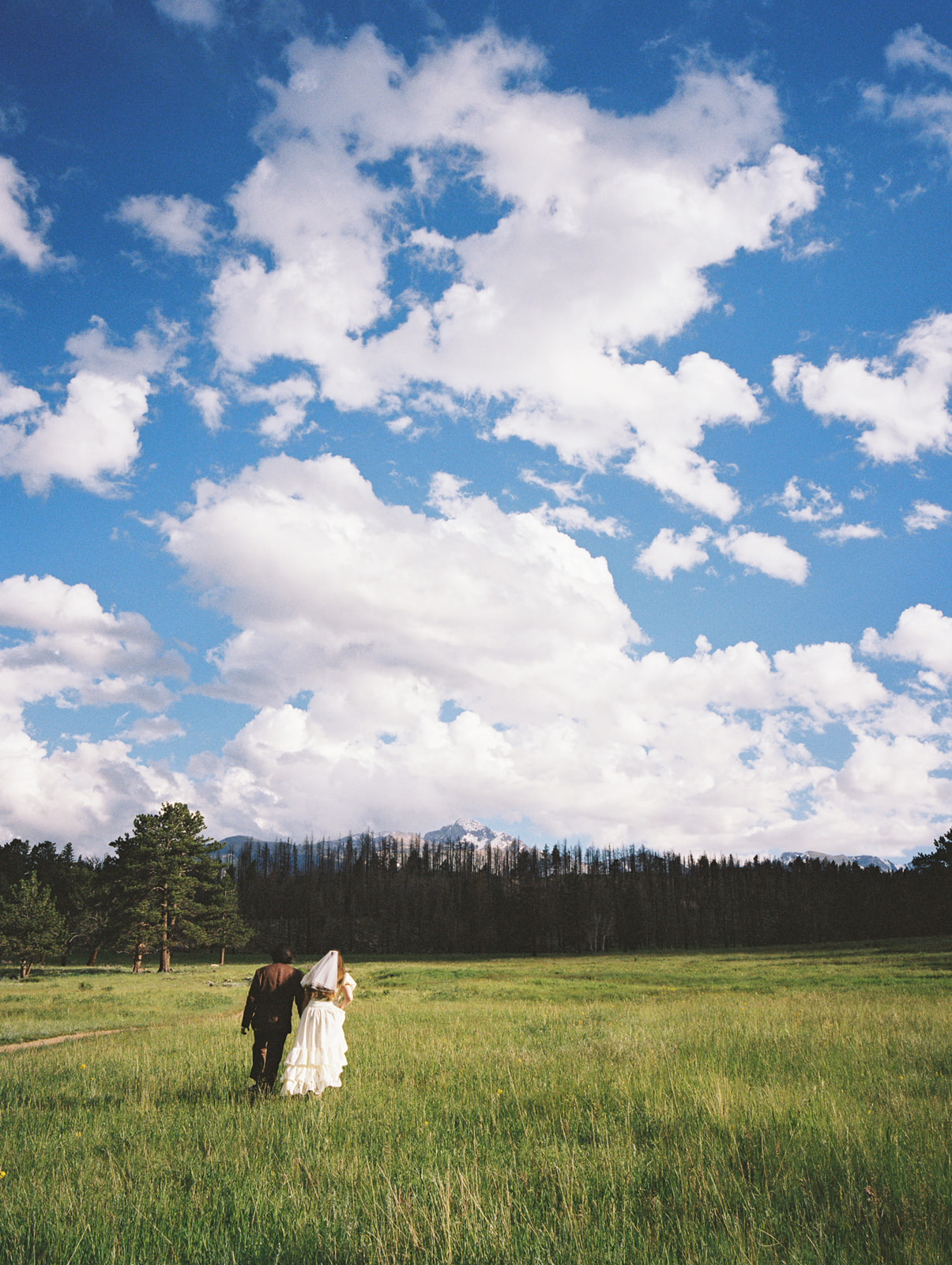 A couple who eloped in Rocky Mountain Park say their vows in an open field. 