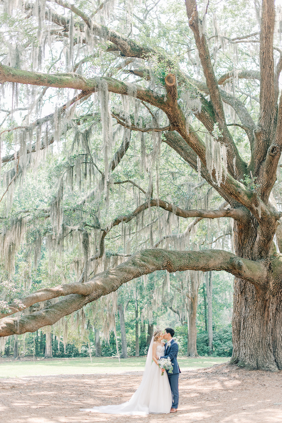 bride & groom portrait under huge oak tree in Bluffton south Carolina 