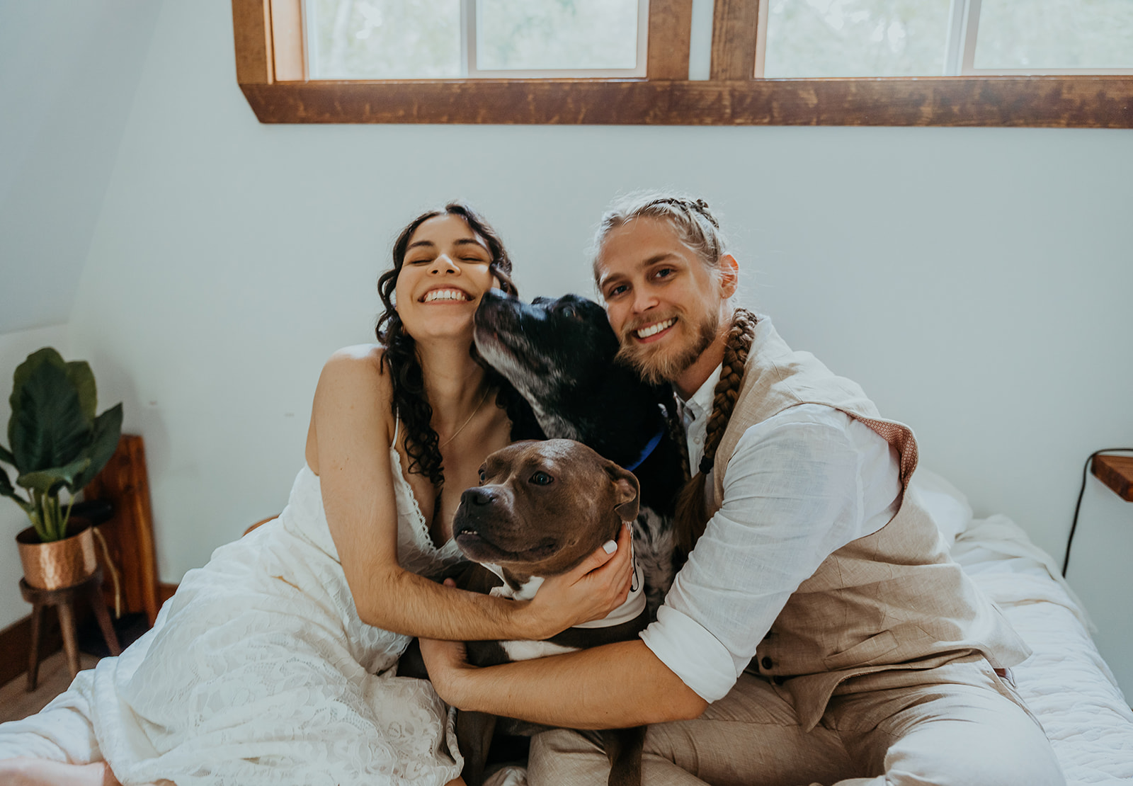 newlyweds on their elopement day posing with their dogs.