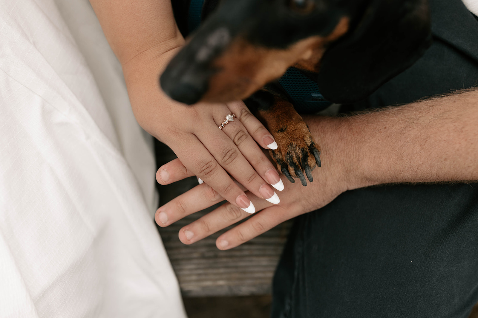 carmel by the sea carmel beach california engagement with dog engagement ring photoshoot ideas wedding ring diamond