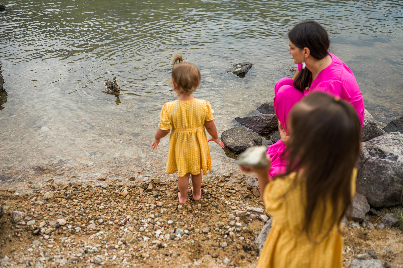 young family sees a duck in the water at Kootenay Lake