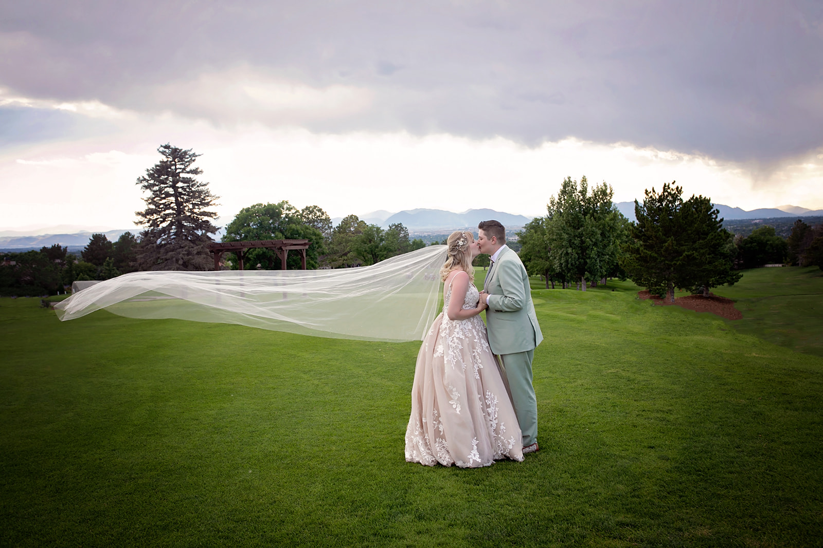 Cathedral veil wedding photo