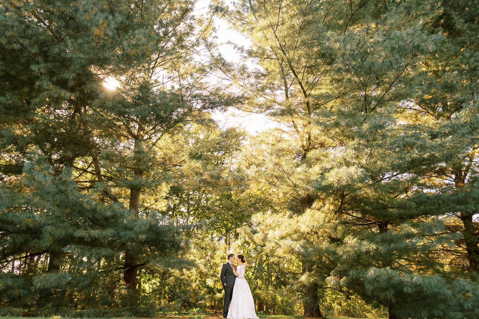 Bride and Groom in gorgeous backlit forest at Mayrland backyard weddng