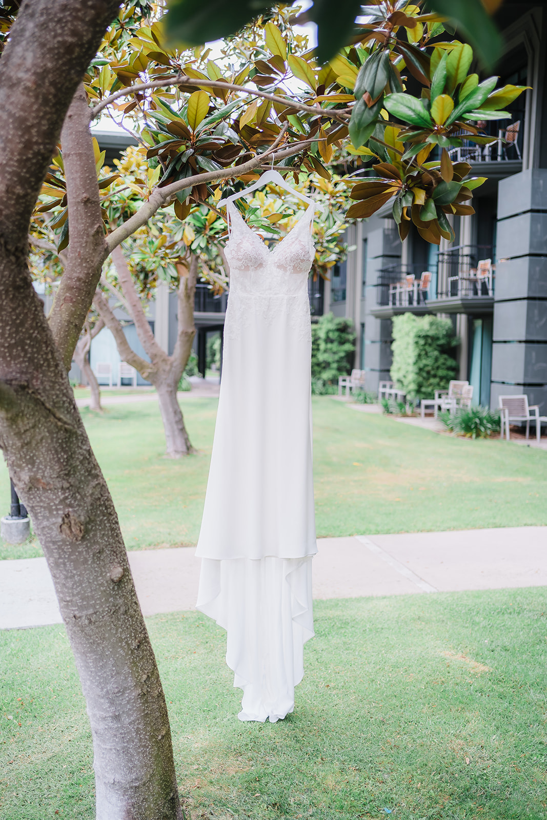 wedding gown hanging from a tree