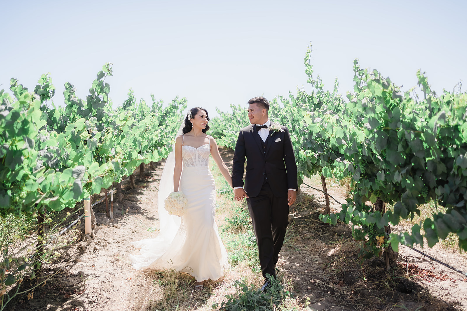 Stunning portrait of Nallely and Ansony amidst the vineyards, overcoming strong winds to capture the beauty of their lov