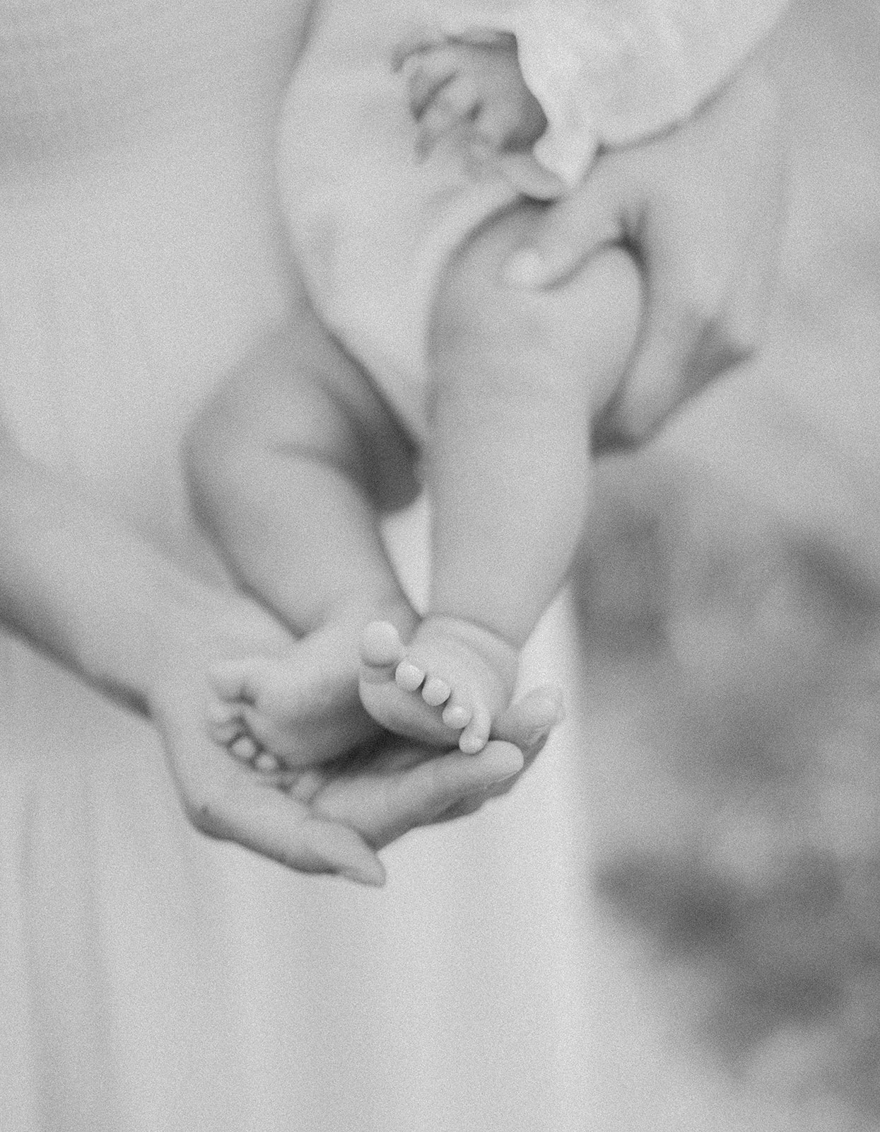 Boise foothills newborn session by Hannah Mann Photography