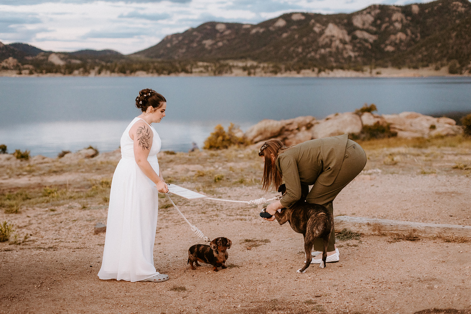 Colorado Dog signing marriage license