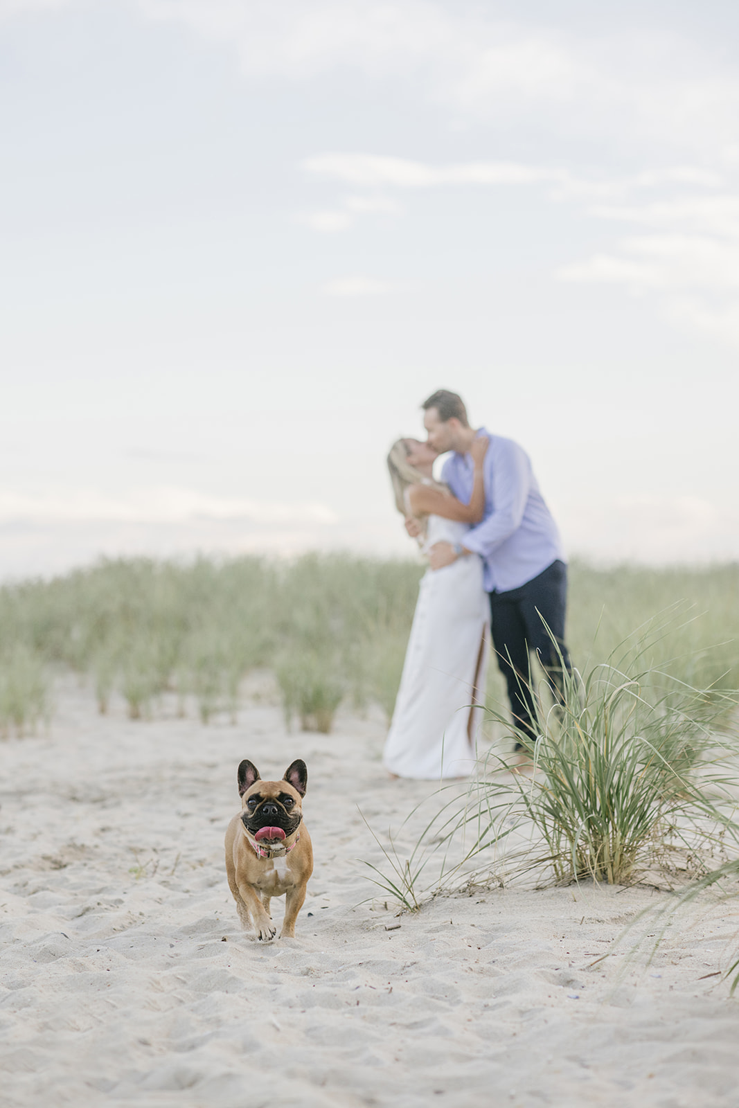 engagement photo with dog in spring lake, nj