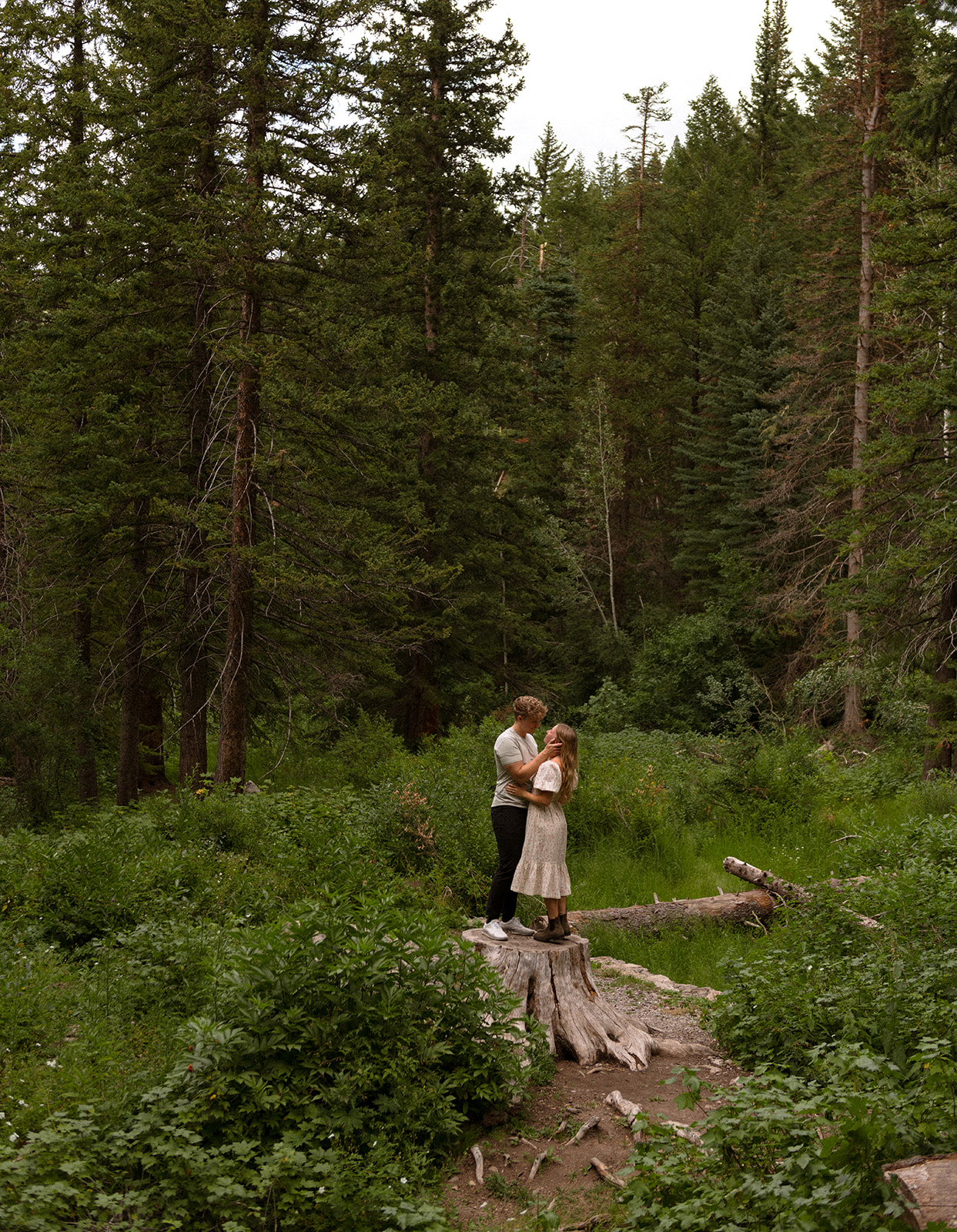 Magical and romantic evening in the Utah mountains, surrounded by lush greens