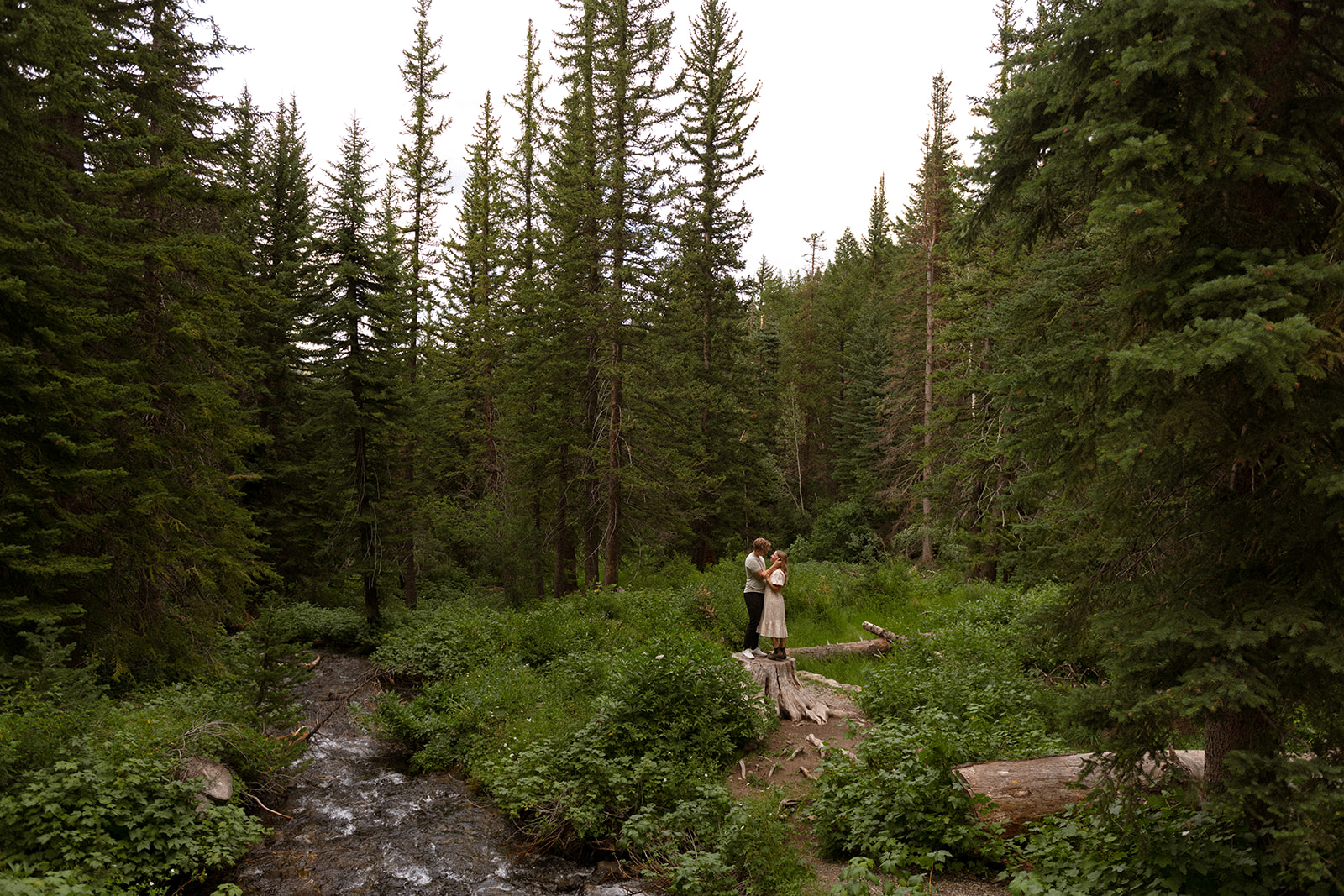 Magical and romantic evening in the Utah mountains, surrounded by lush greens