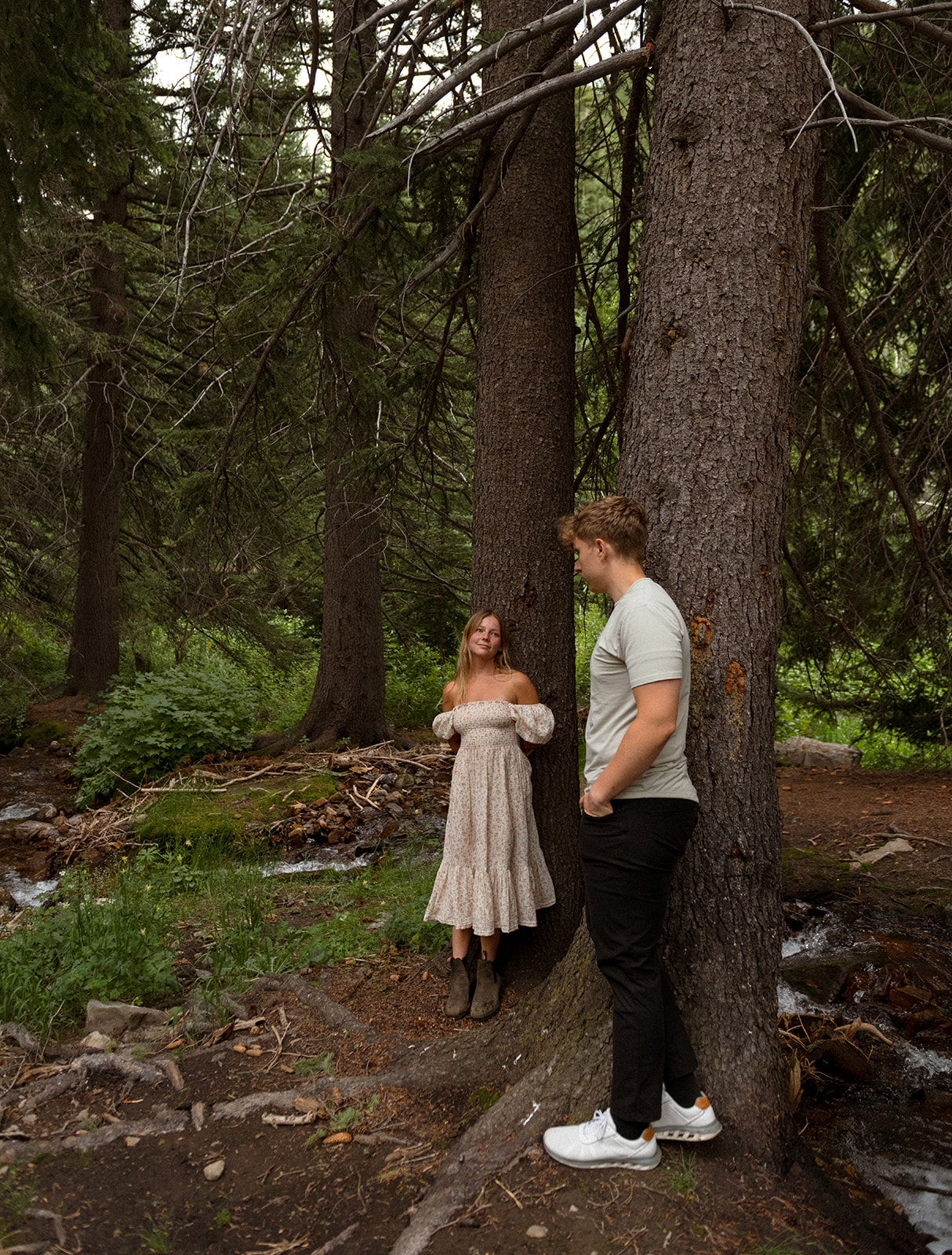 Magical and romantic evening in the Utah mountains, surrounded by the pines