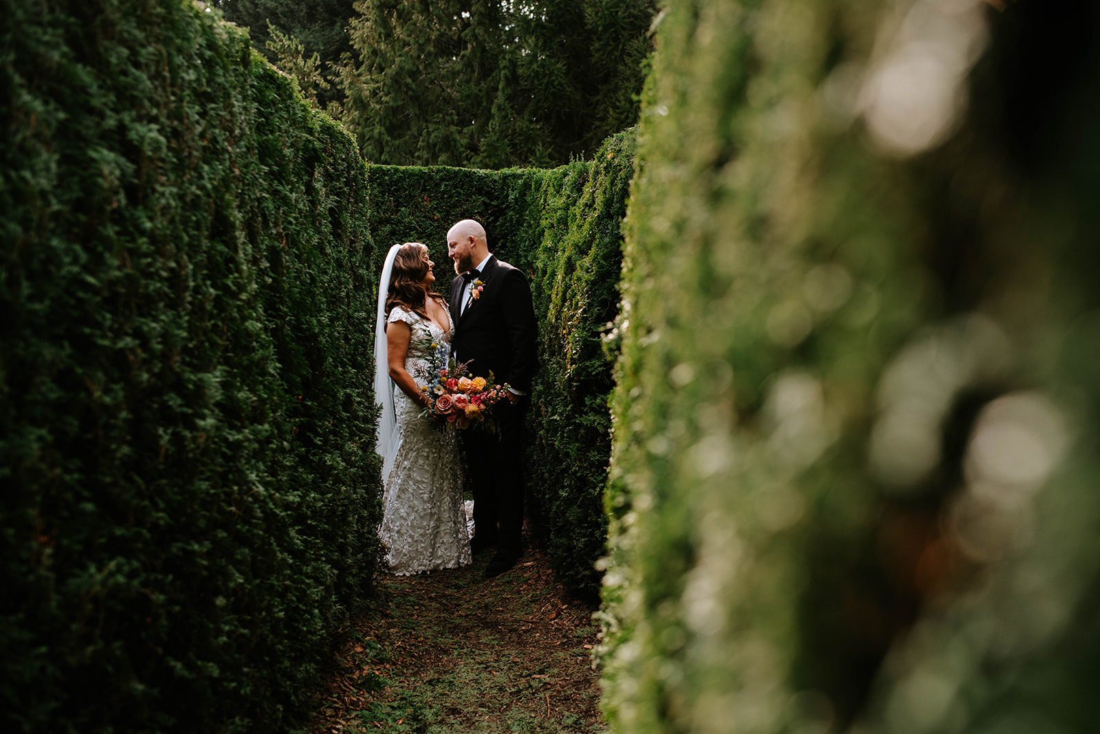 bride and groom kissing among tall hedges