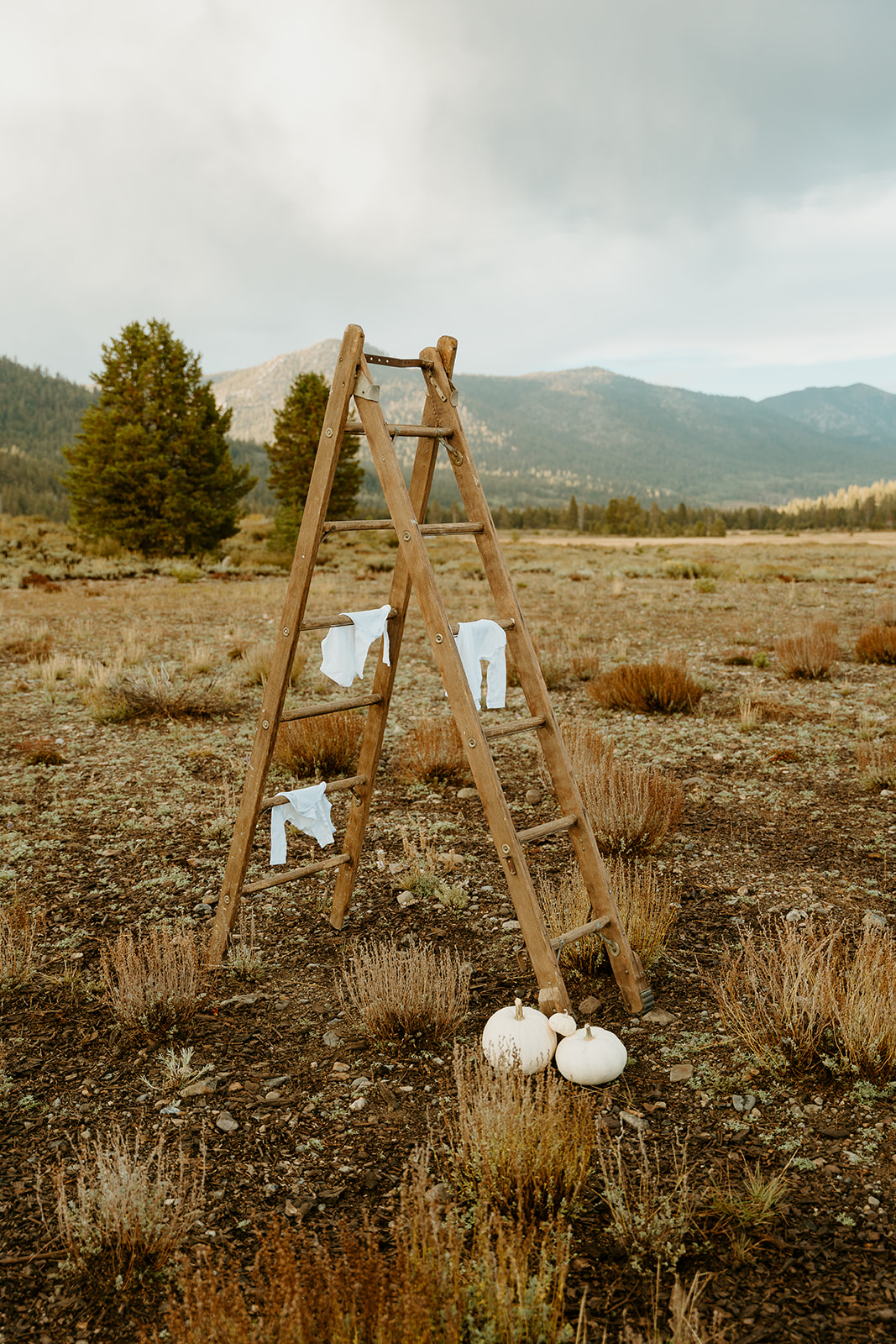 a ladder displayed with baby onsies to showcase the addition to their family during fall photos at hope valley ca