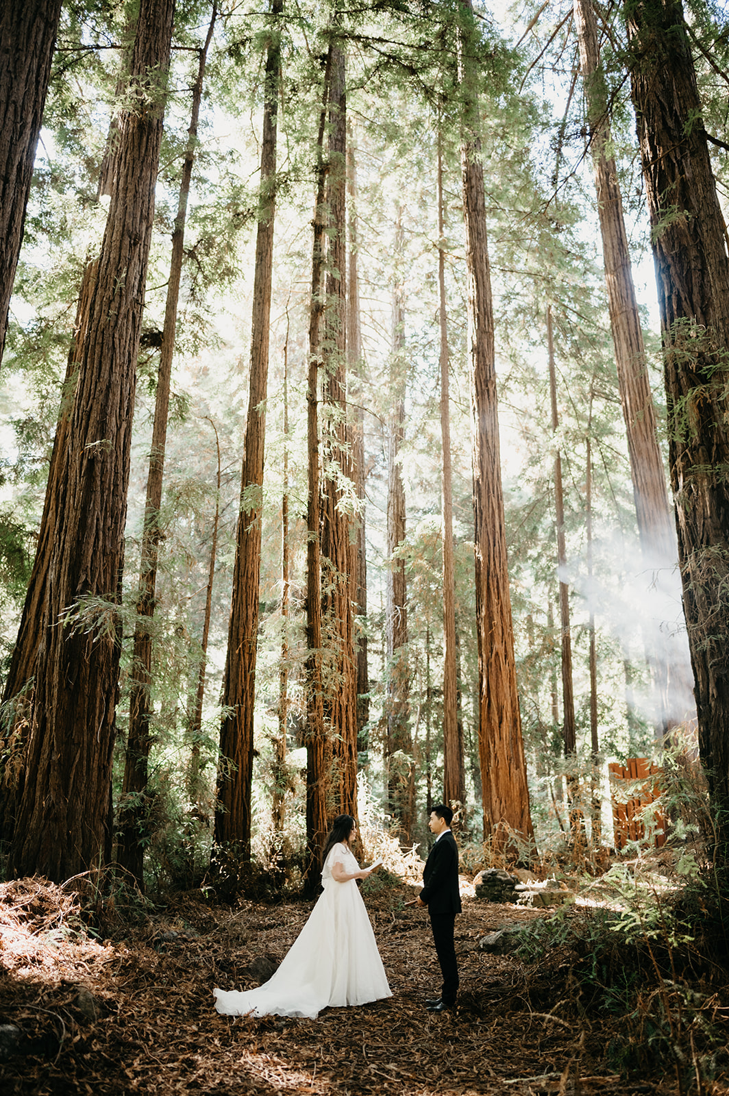 Forest ceremony Big Sur, California