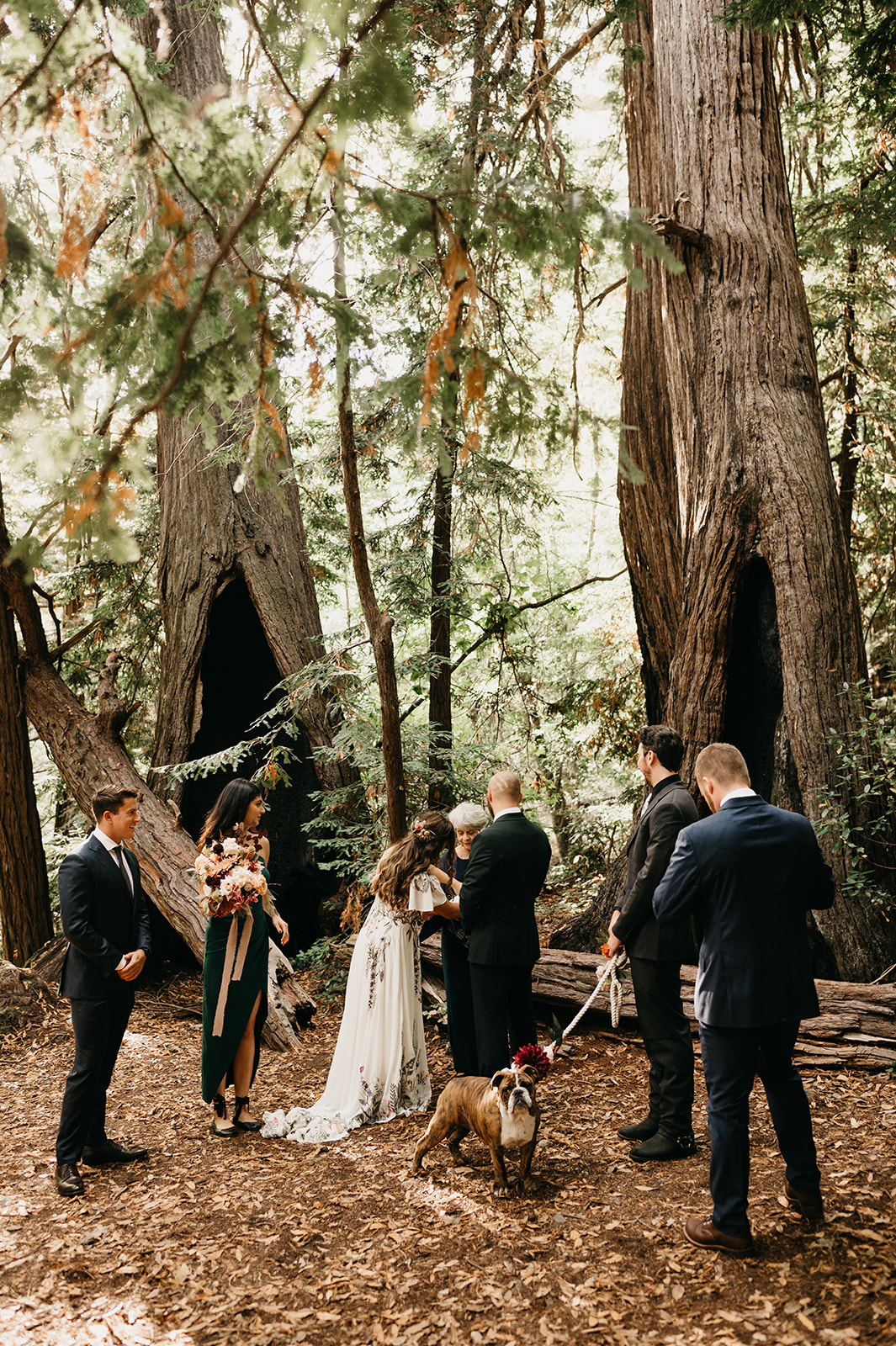 Elopement ceremony among the tall redwood trees in Big Sur California