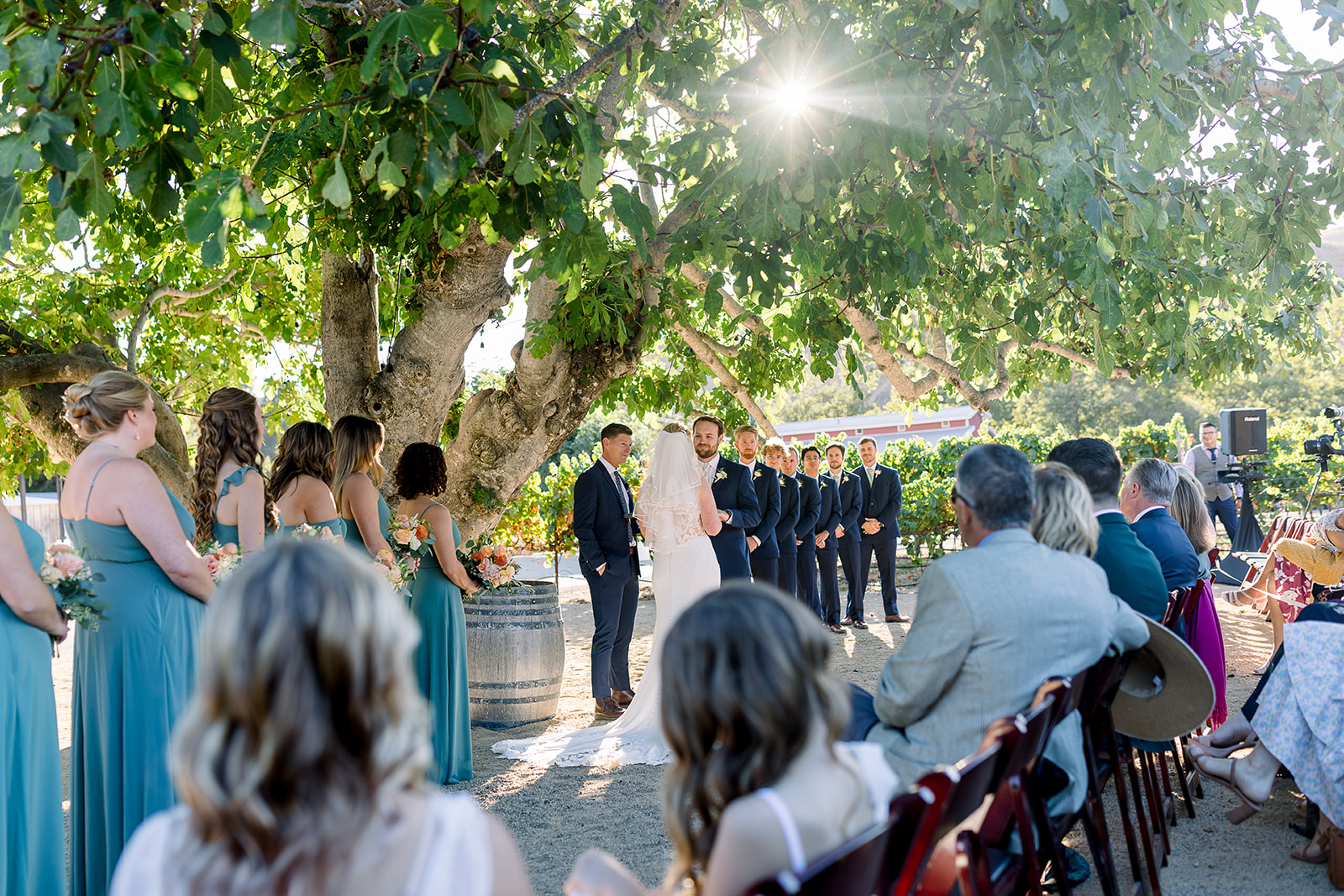 Caroline and Thomas exchanging vows under the picturesque tree at Higuera Ranch.