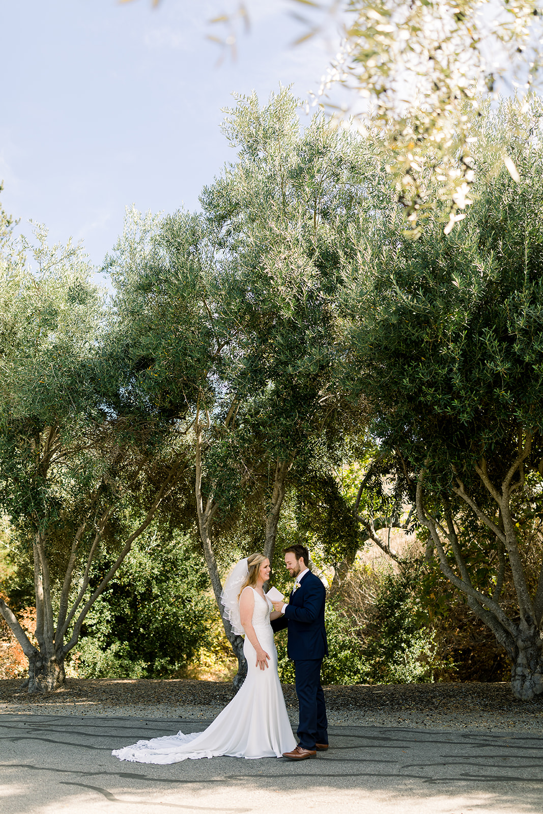 Warm sunlight filtering through the olive trees, casting a romantic glow on the newlyweds during their first look