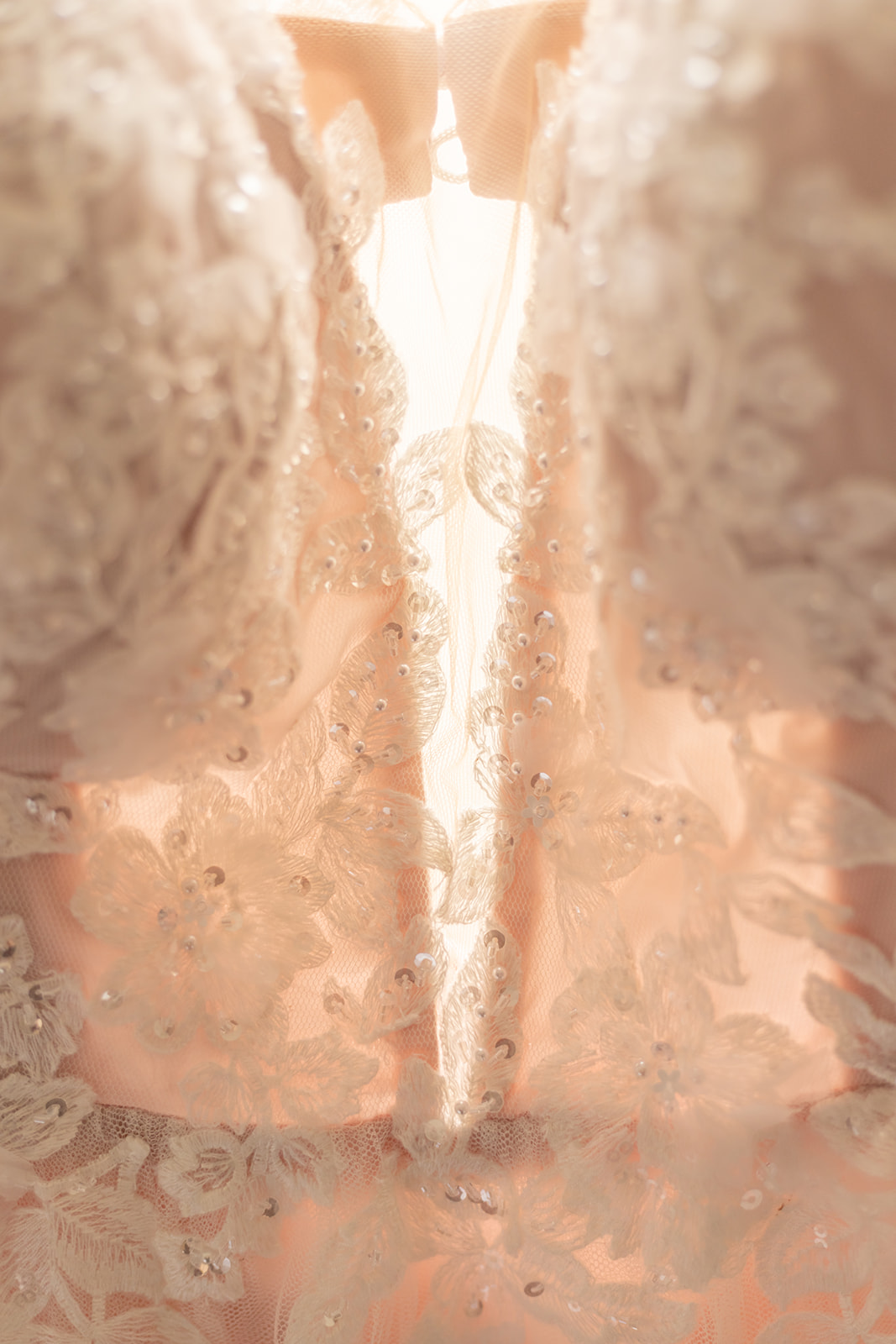 blush wedding gown details