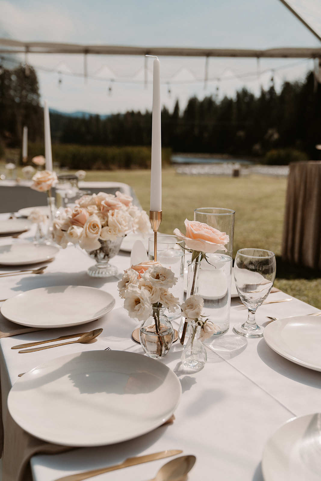 luxury Backyard wedding Idaho 