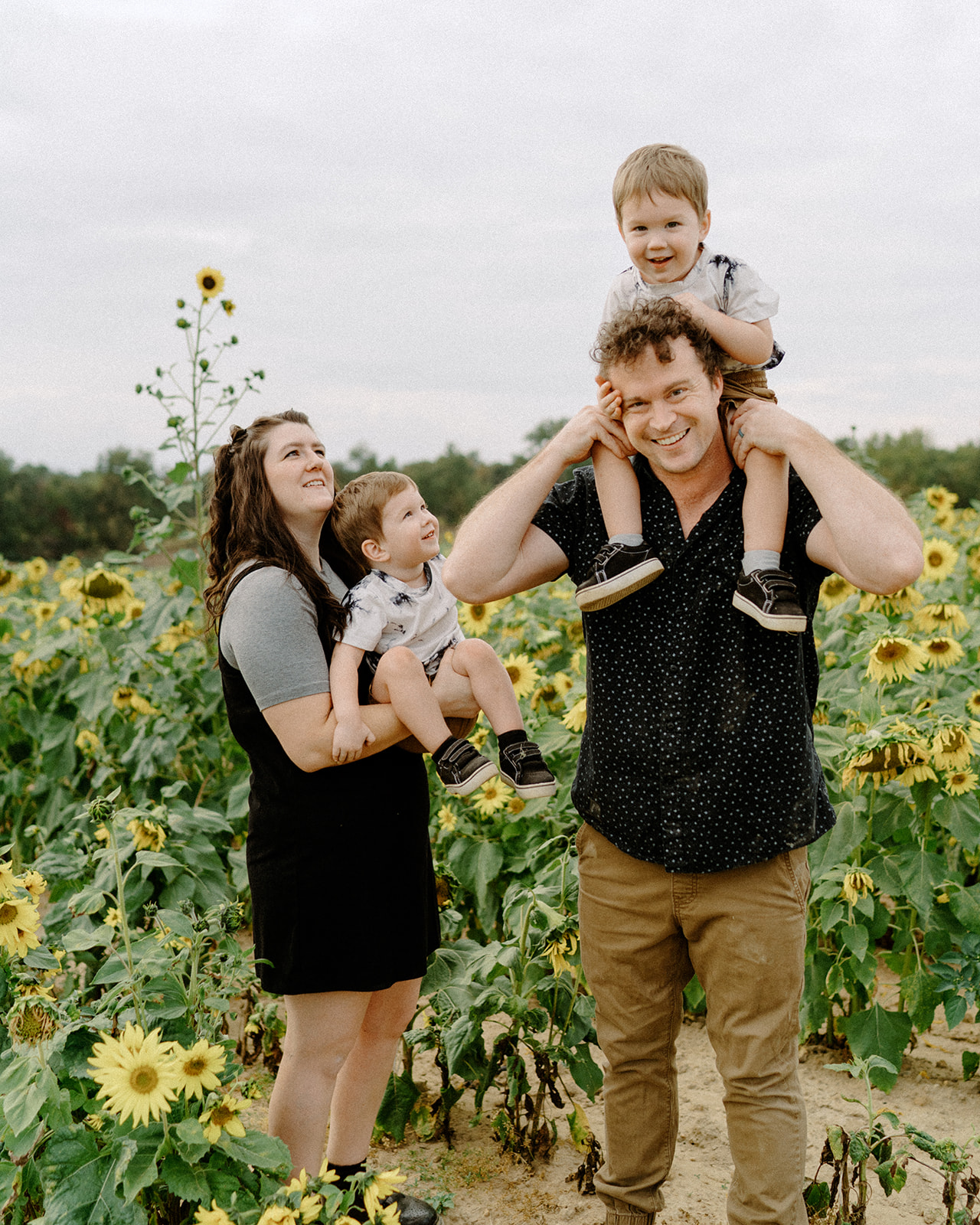 Family photos in sunflower field