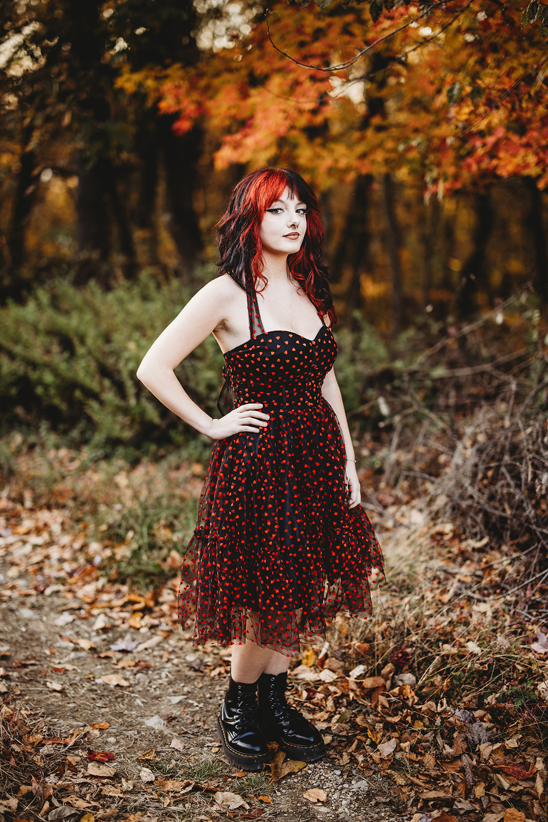 high school senior portraits Witch's Witches Hat Neversink Mountain Reading Pennsylvania fall outdoor moody spooky