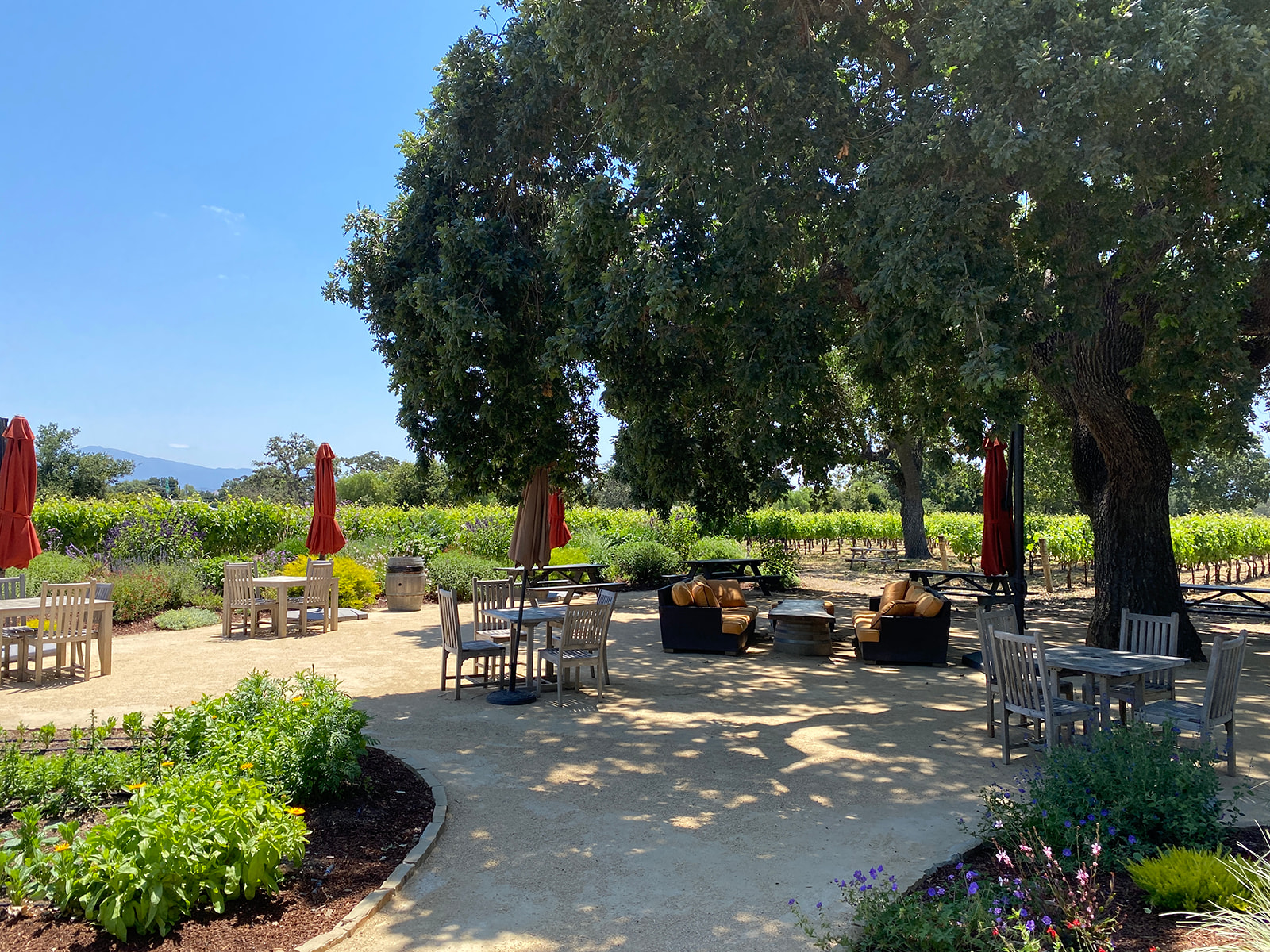 Roblar Winery and Vineyard courtyard for wine tasting