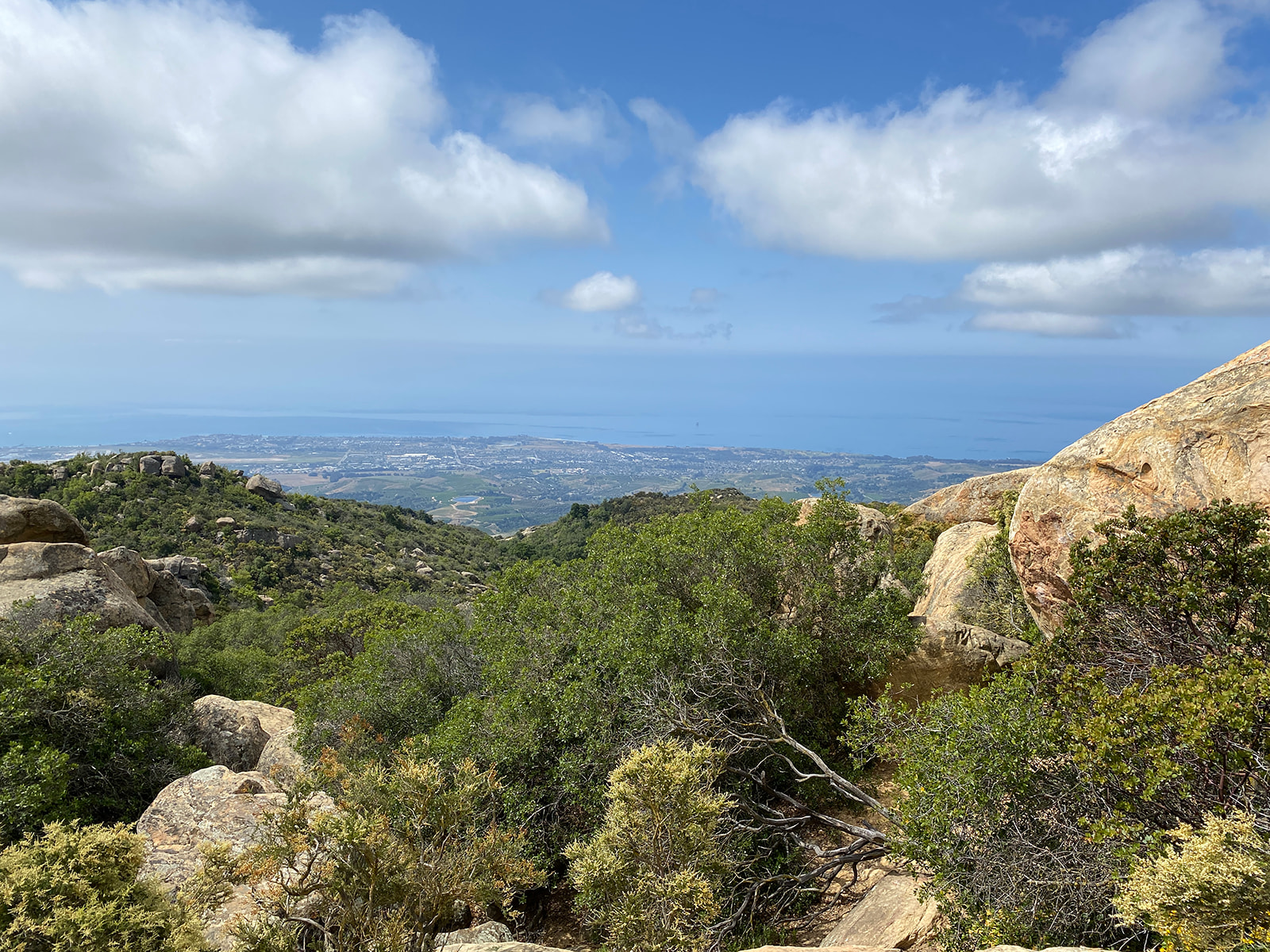 View from the hiking trail at Lizards Mouth Rock by engagement photographer