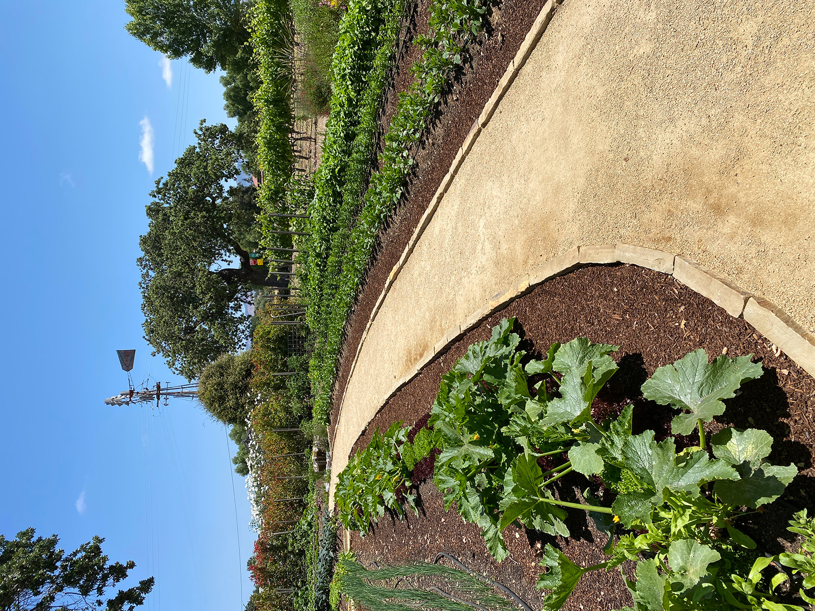Walking path through the garden at Roblar winery & vineyard
