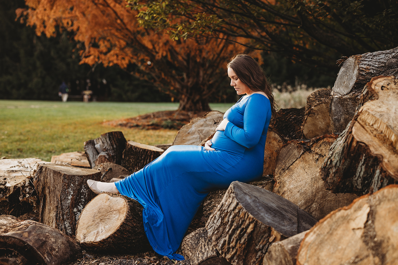 fall golden hour maternity portrait session photoshoot wyomissing park berks county pennsylvania