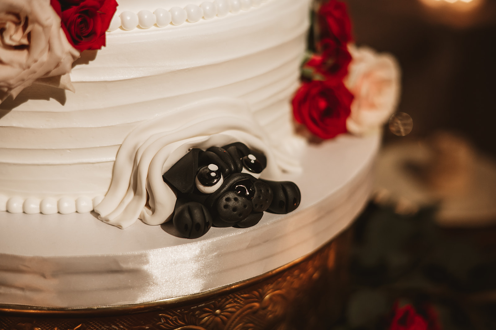 Chevy Chase Country Club Wedding Photo - cake with a puppy