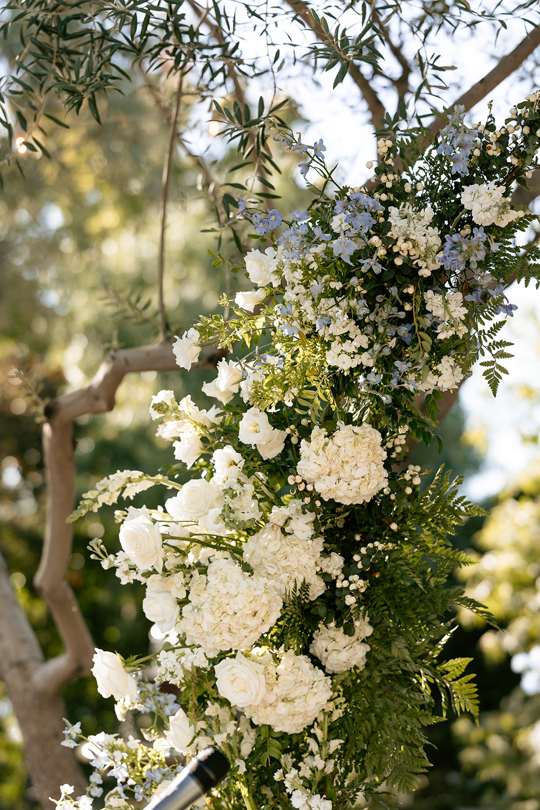 grand gimeno wedding orange county california white wedding roses blue wedding flowers flower arch wedding arch