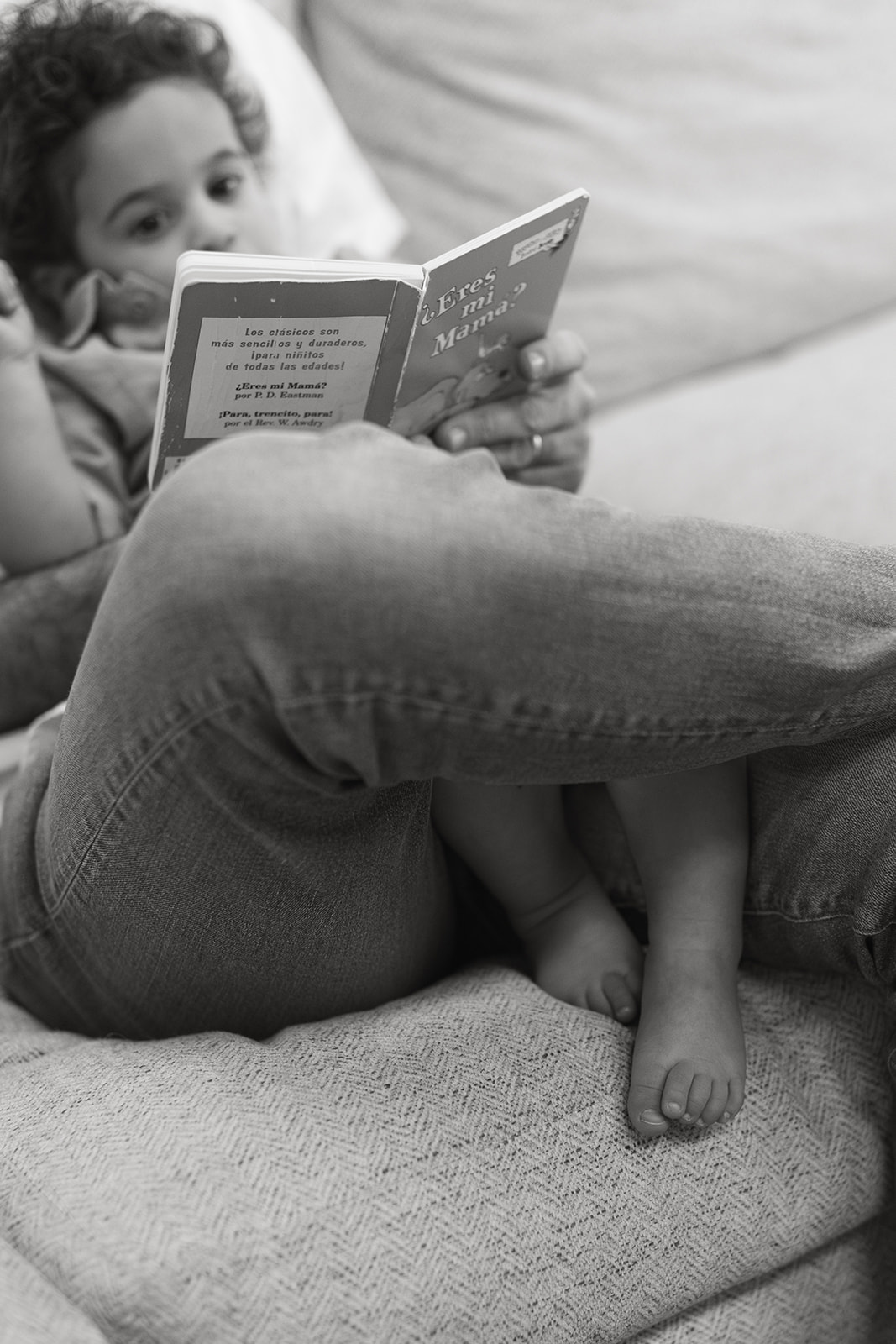 home maternity photoshoot california  parents reading book for child parents sitting on the couch with child reading 
