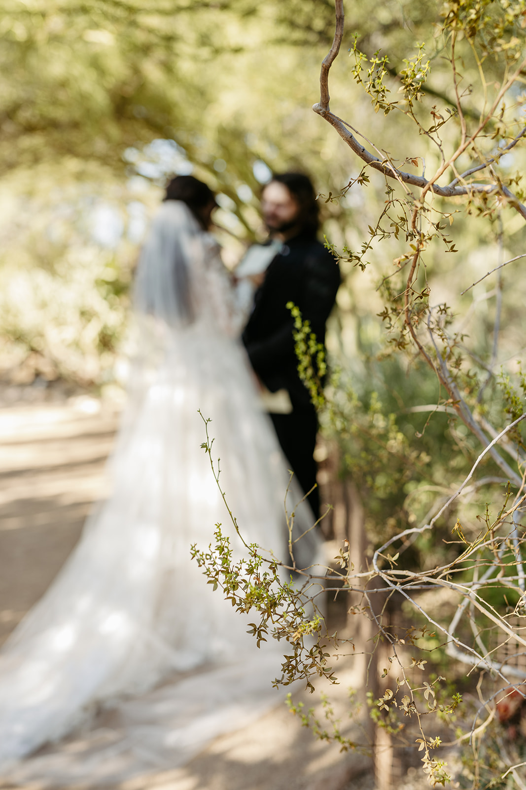 first look desert intimate wedding vows phoenix arizona destination brianna kirk photography 