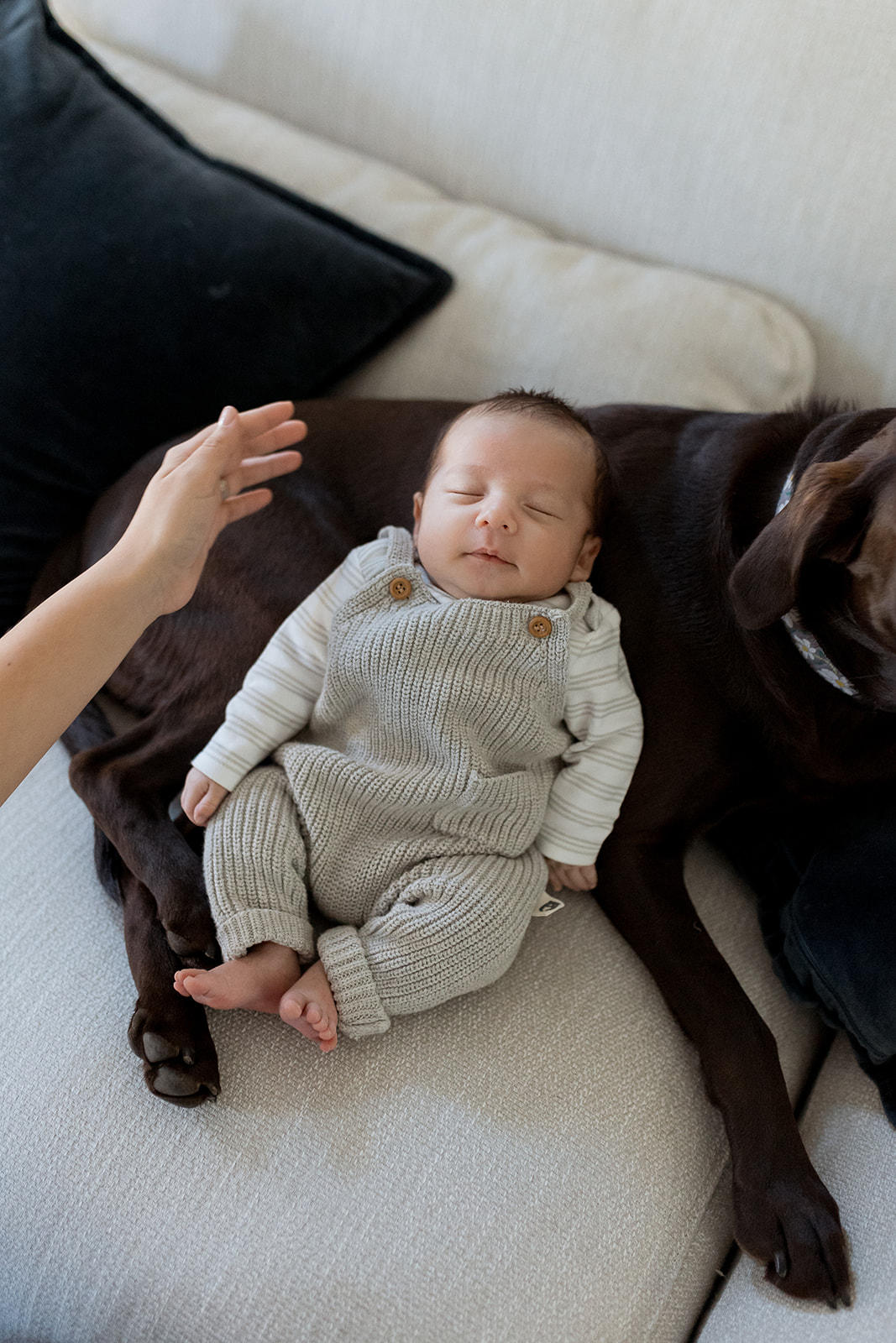 Newborn baby lays next to the family dog while Mom looks on. 