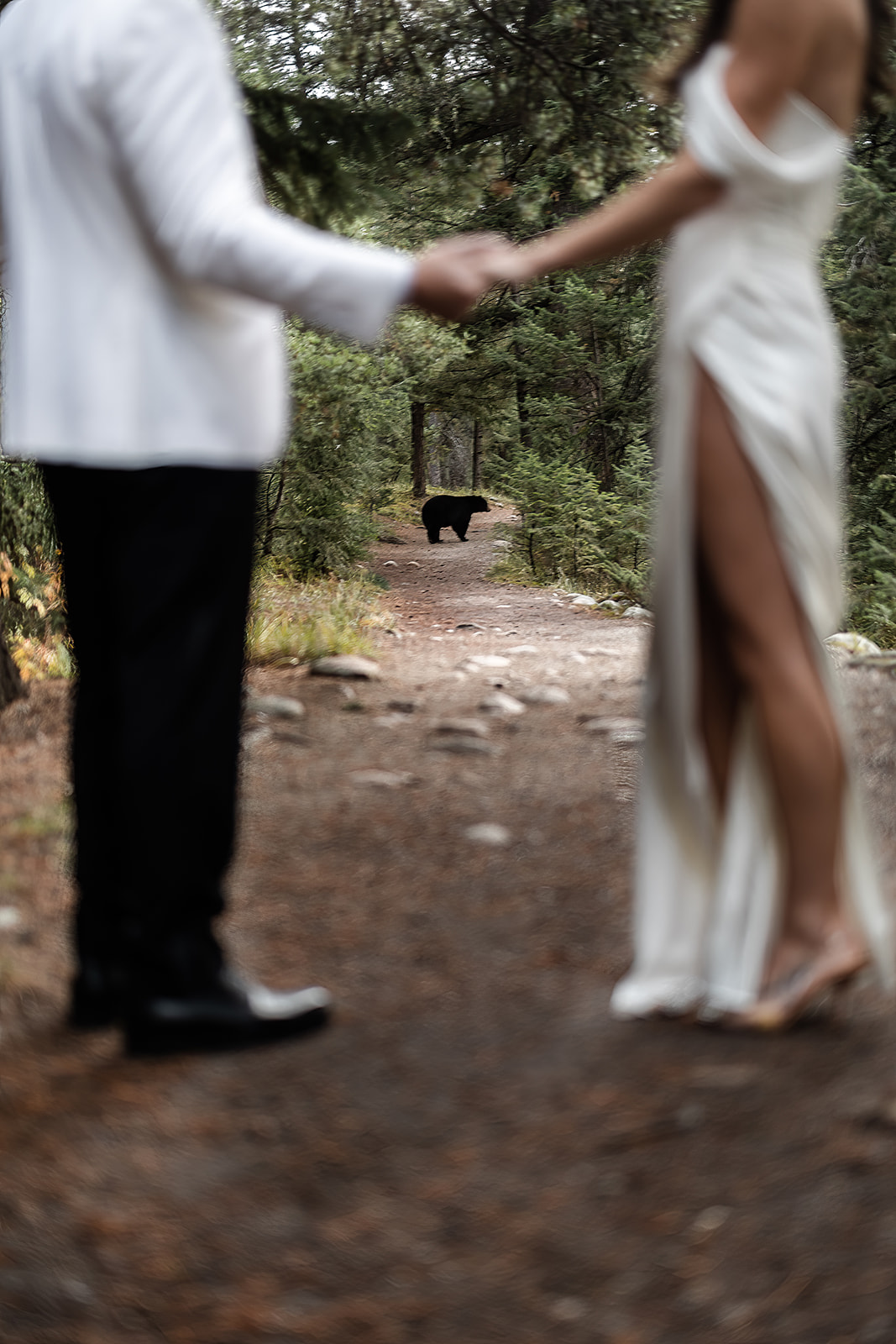 A couple poses with a black bear on their wedding day at the Fairmont Jasper Park Lodge